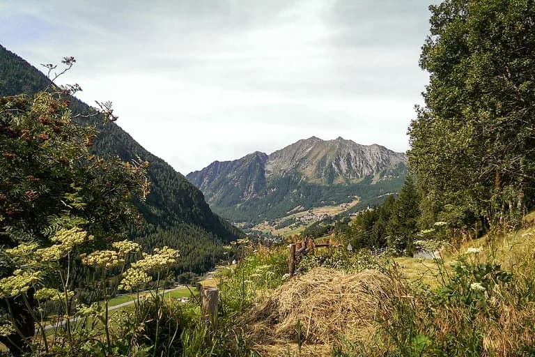 wp-167942651391466901438193817556