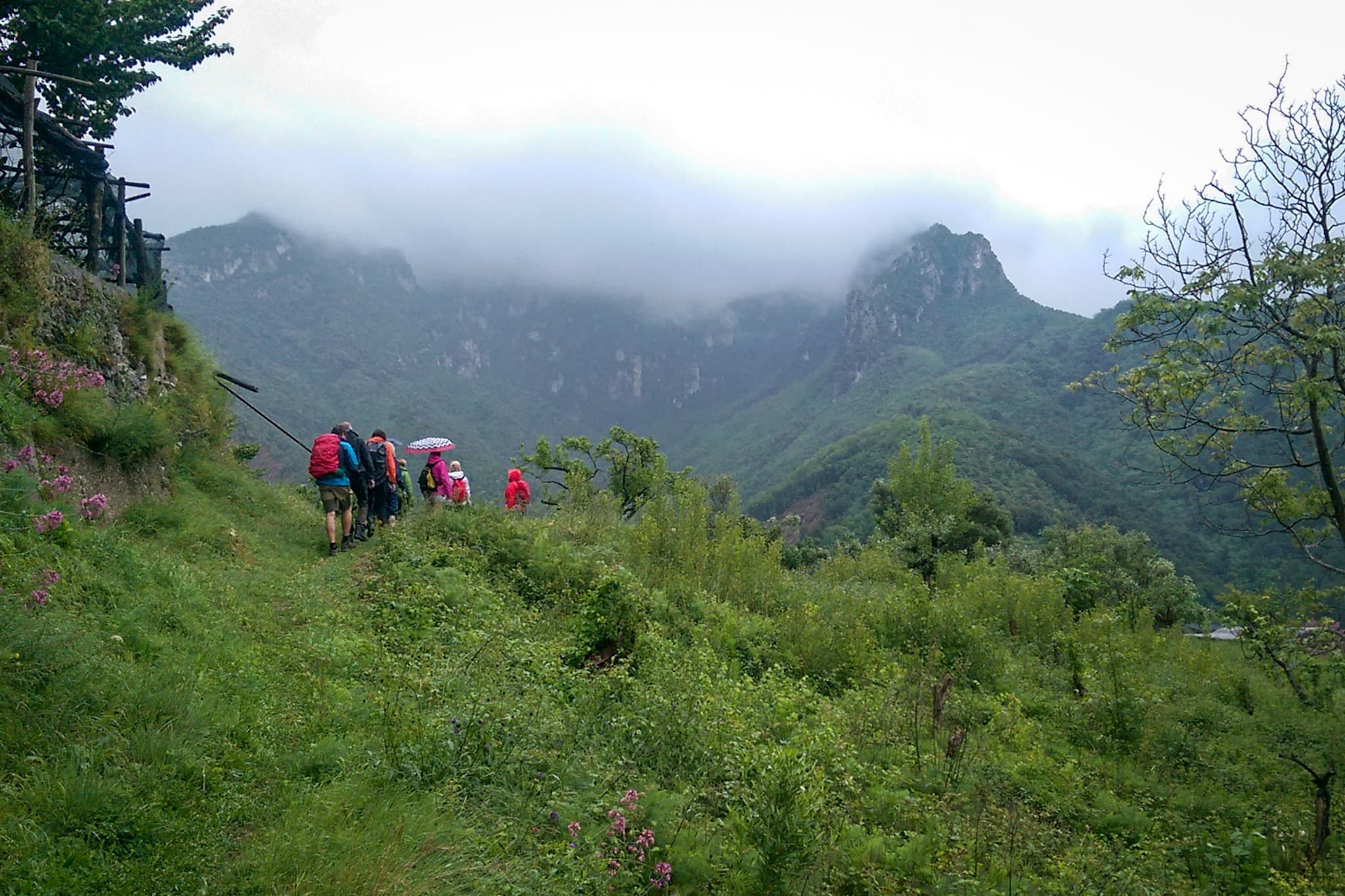 wp-16794269388642847551165870149840