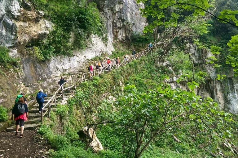 wp-16794269383782167889497440734496