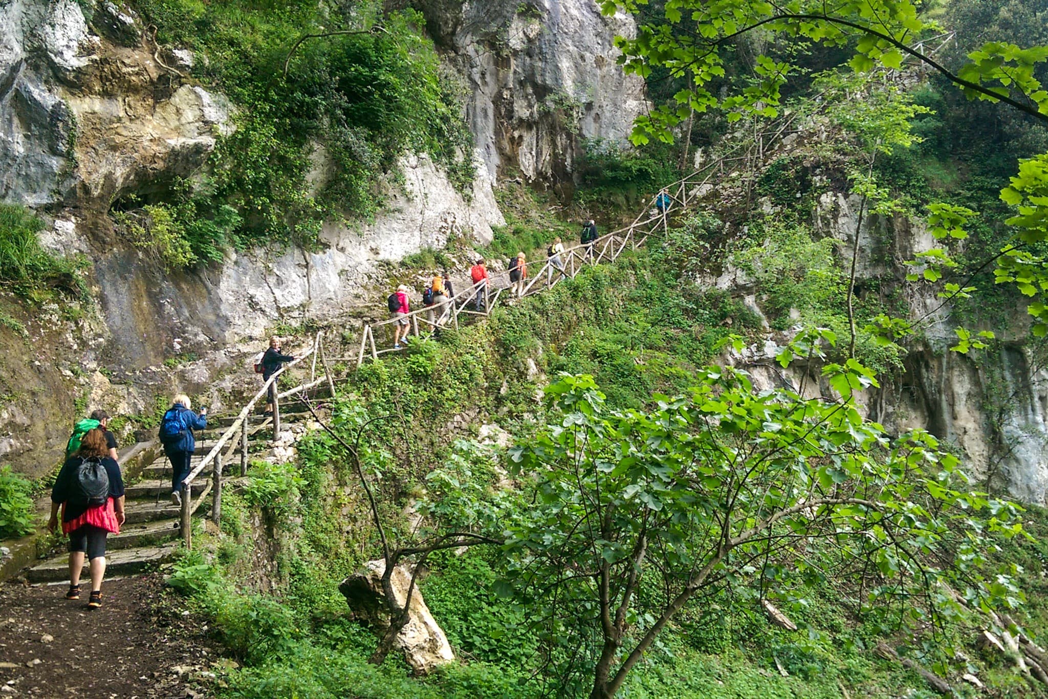 wp-16794269383782167889497440734496