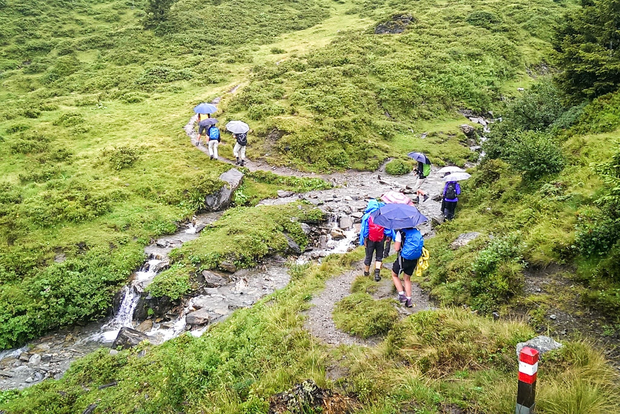 wp-16794280685877651894978660502305