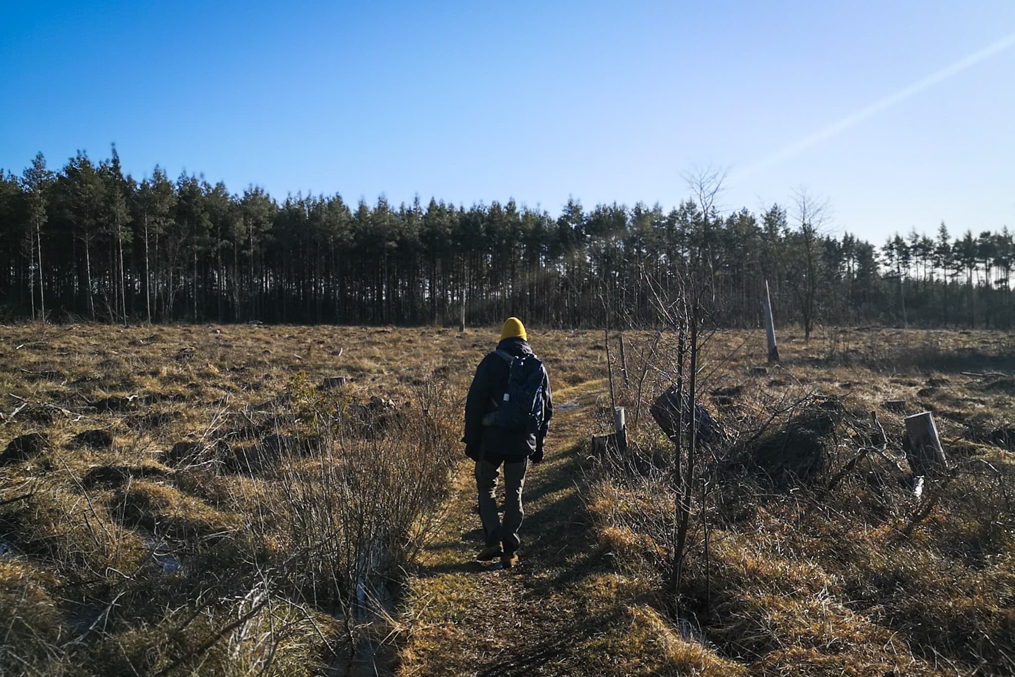 wp-16797310894535328994736644620131