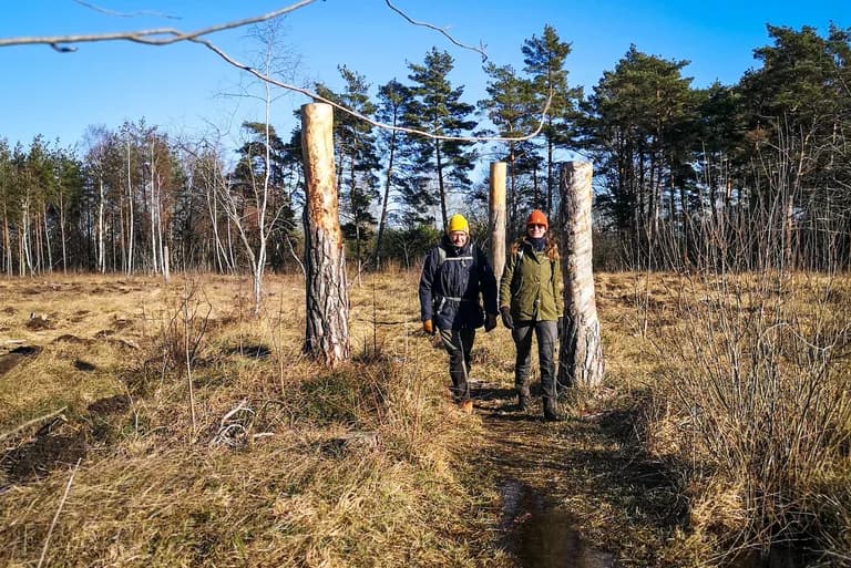 wp-16797317694926468716758576274102