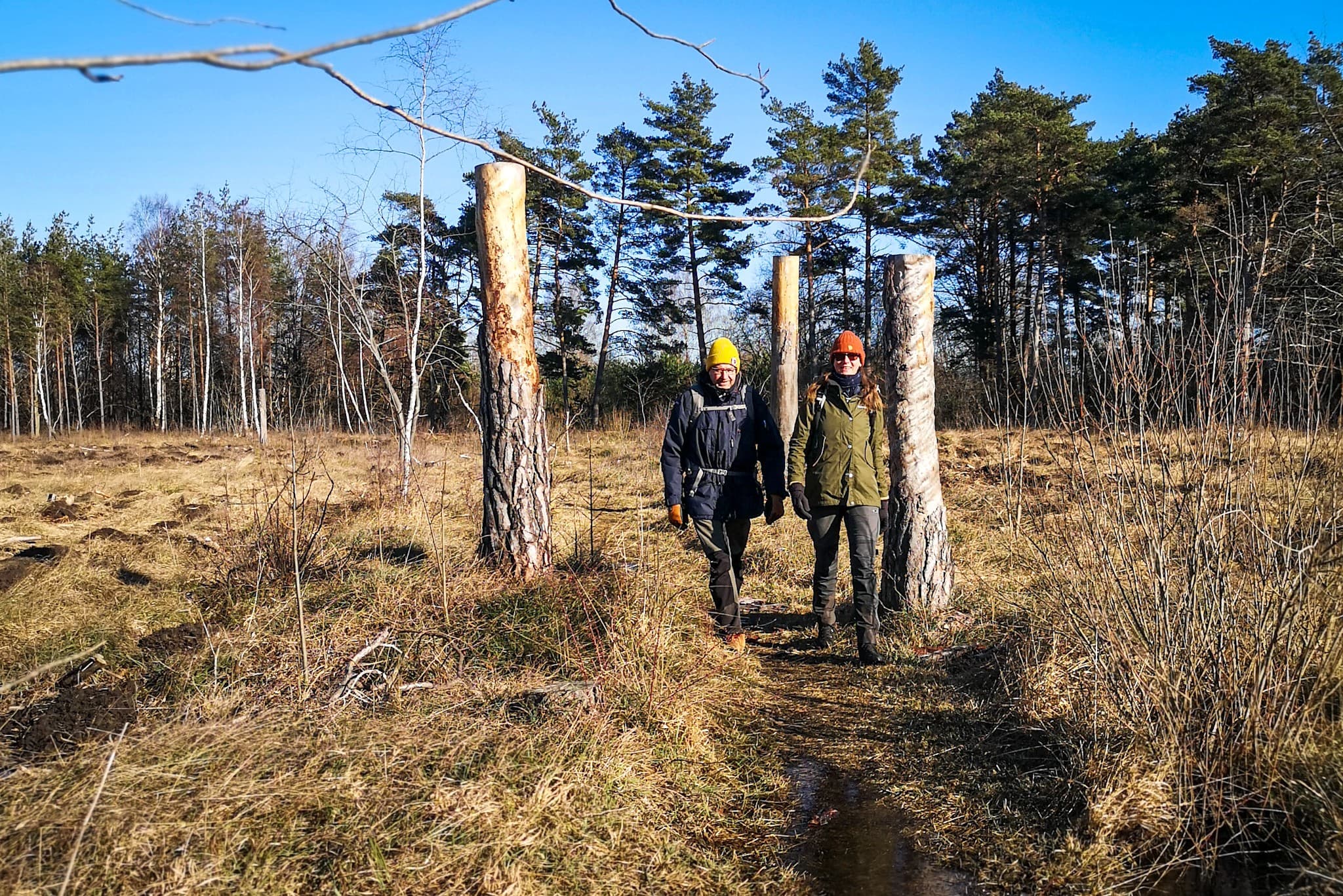 wp-16797317694926468716758576274102