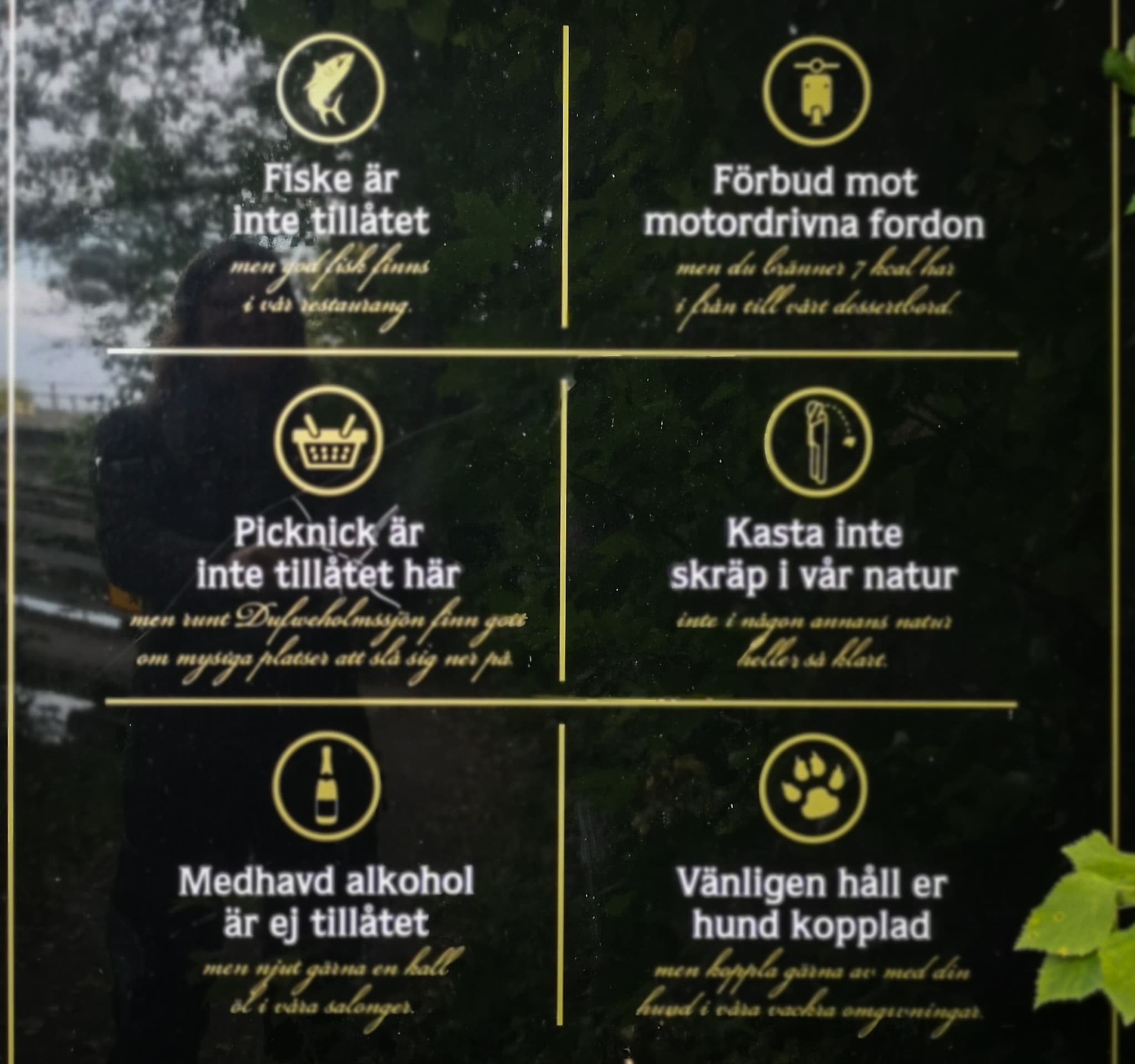 wp-1679824516165549130558537959603