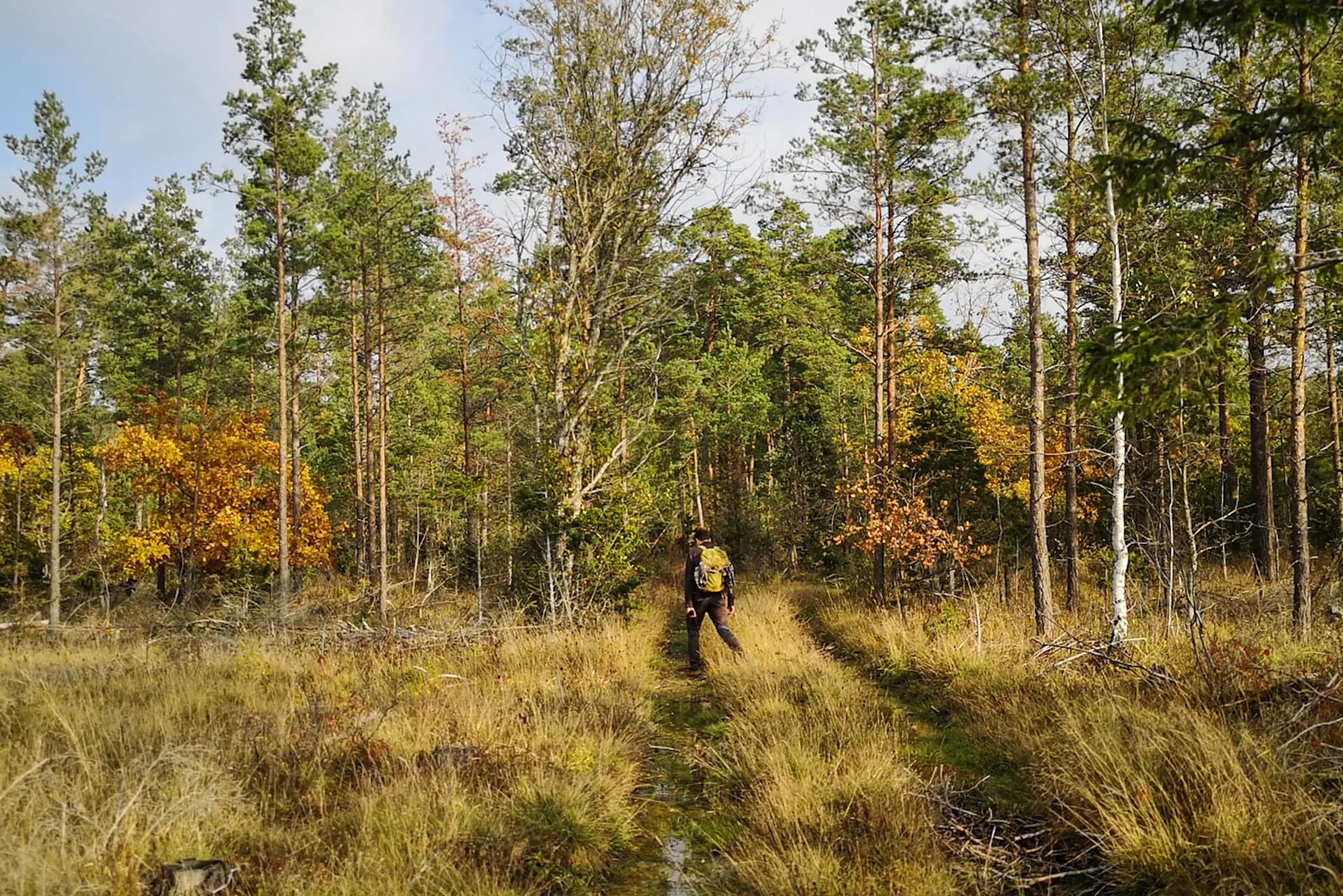 wp-16799292869038766315409844310005