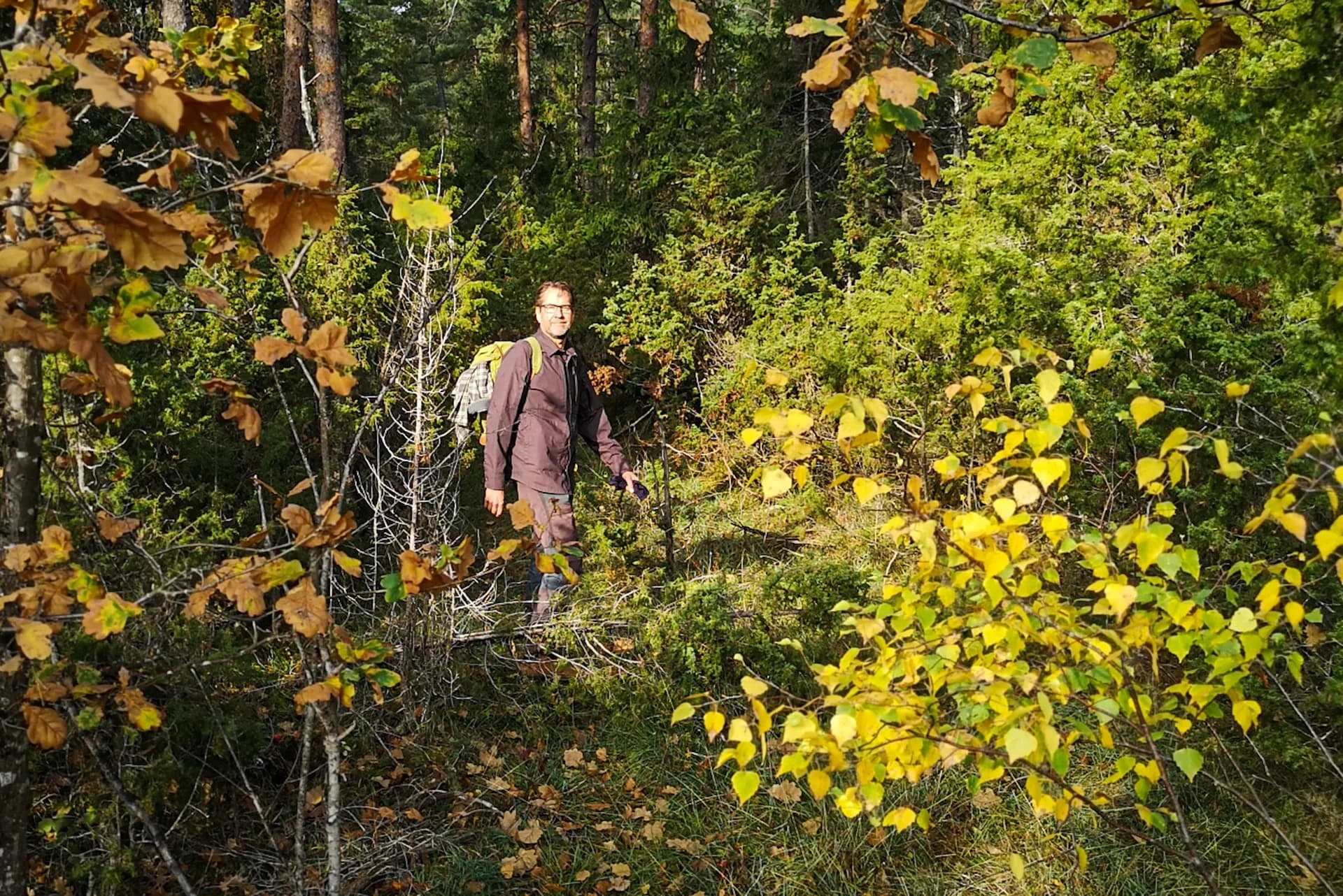 wp-16799292872913561854785571356361