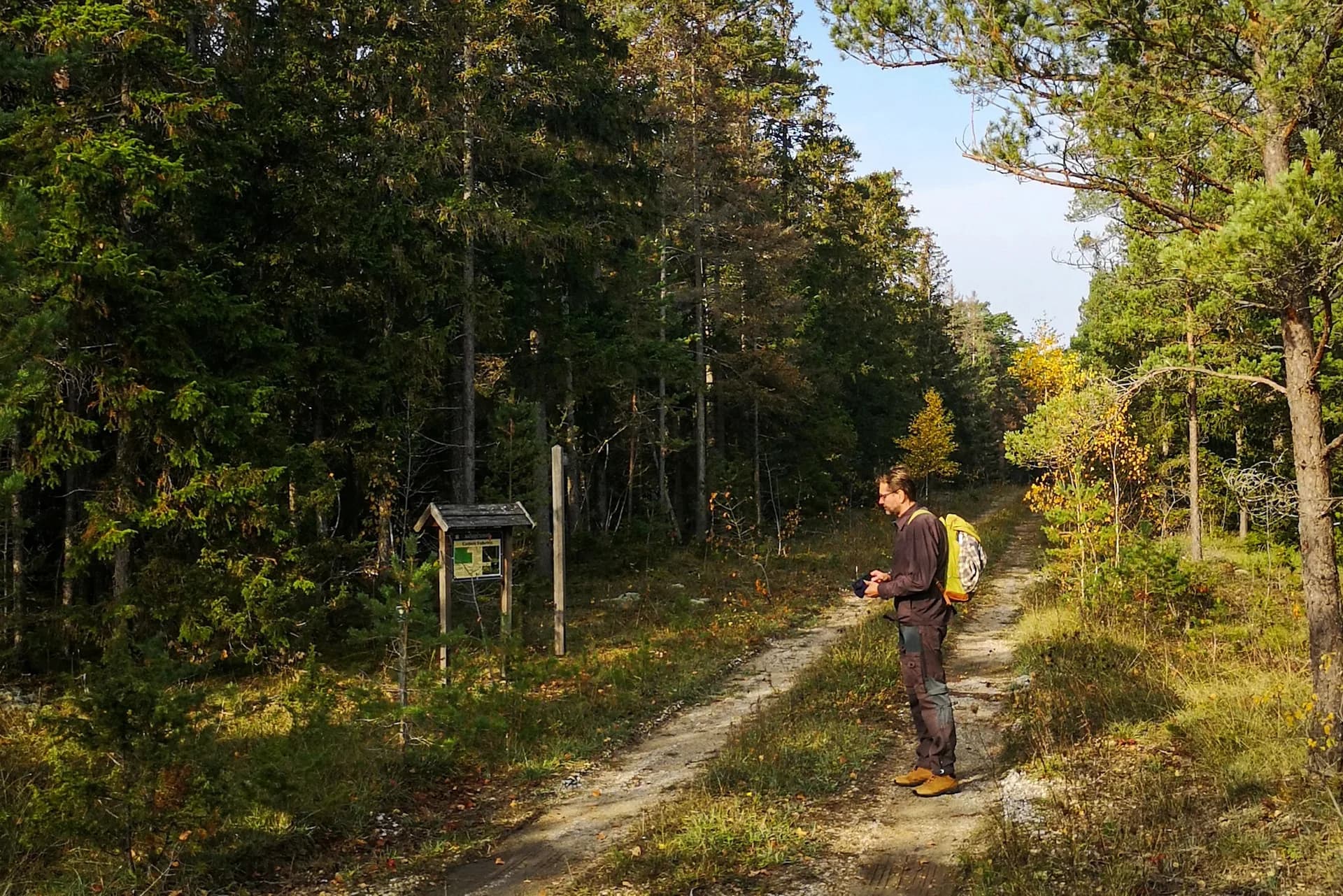 wp-16799329015456259217306292540468