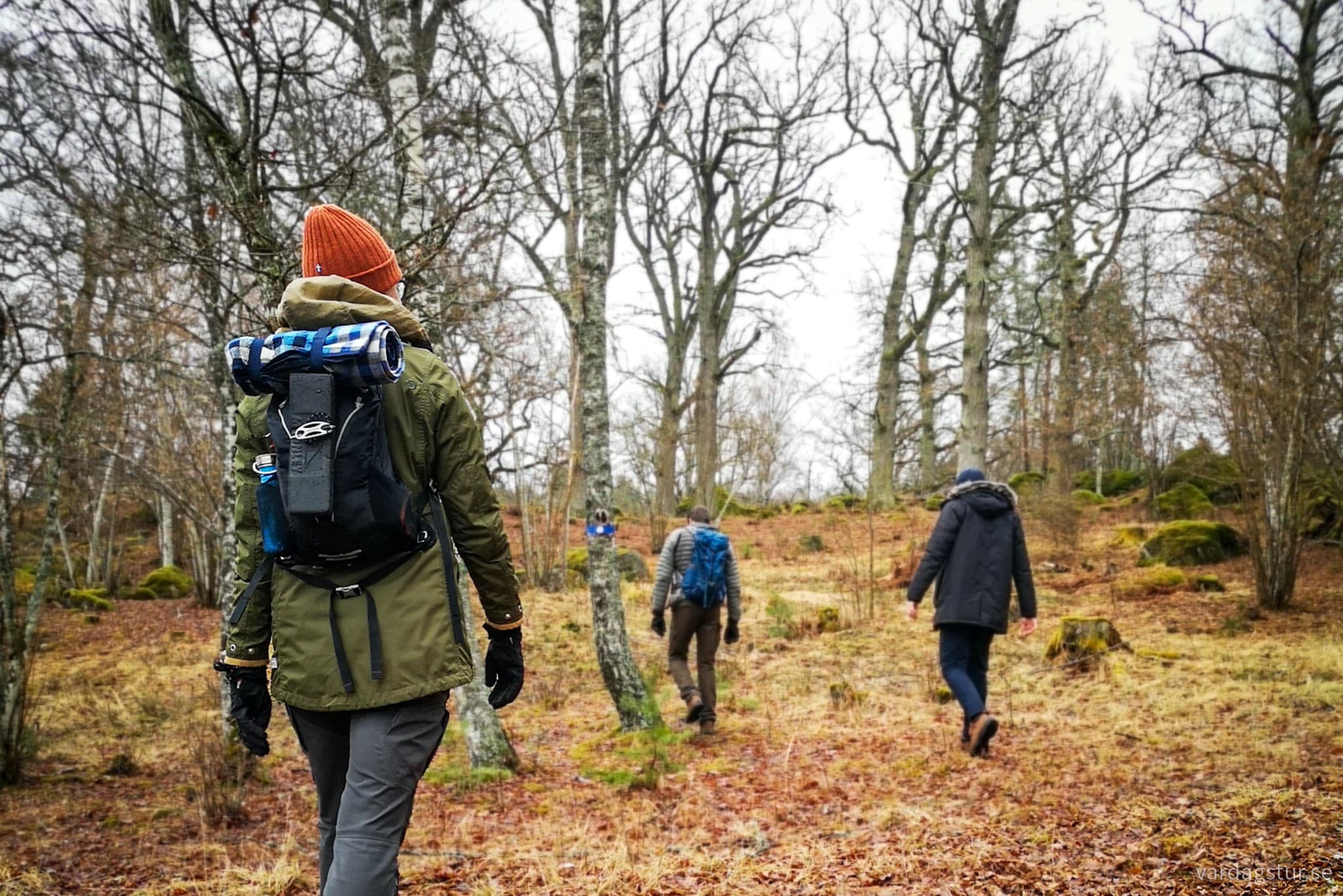 wp-16802725890702837252443257503707