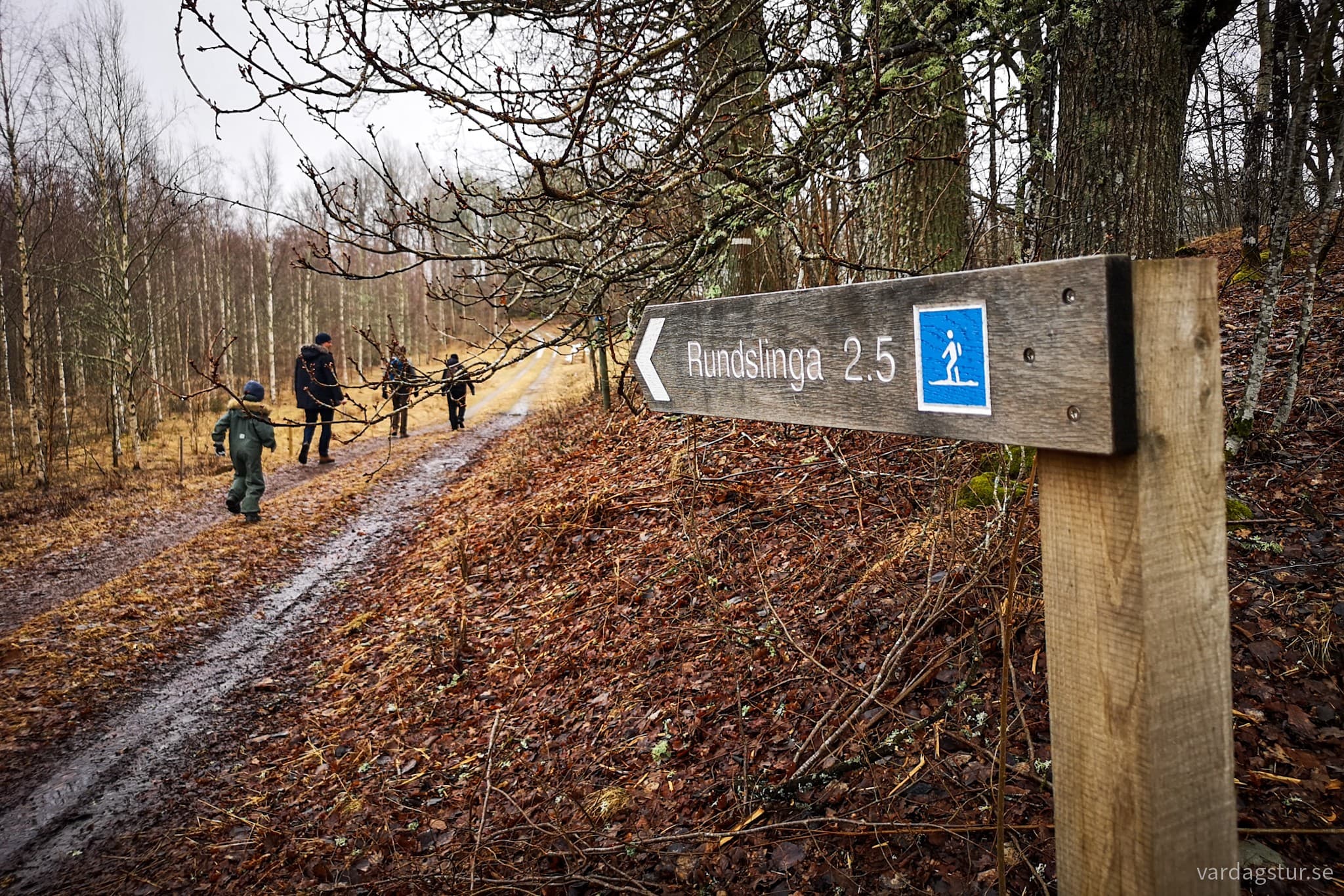 wp-1680272588832351415130759506453