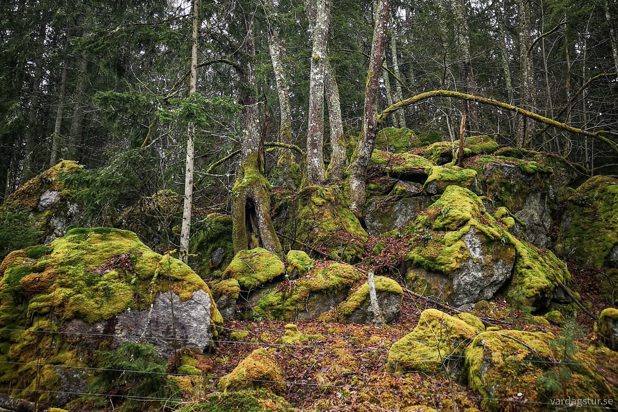 wp-16802746158138201598809166874409