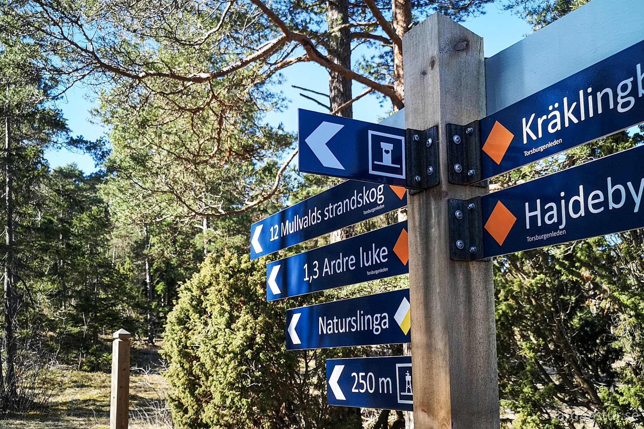 wp-16805871559598280098483924315562