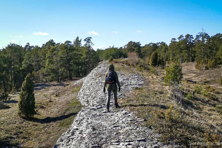 wp-16805875054276414244920276950405