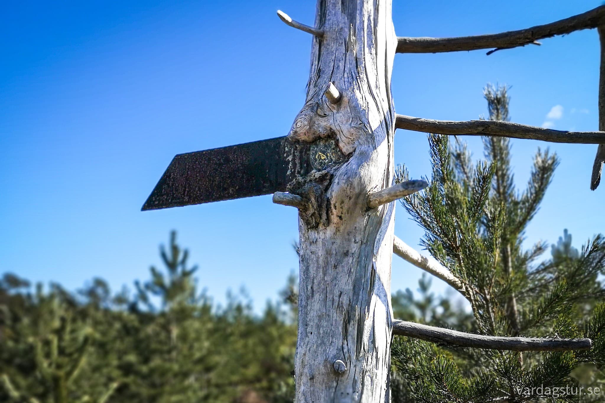 wp-16806782588282657289204846327457