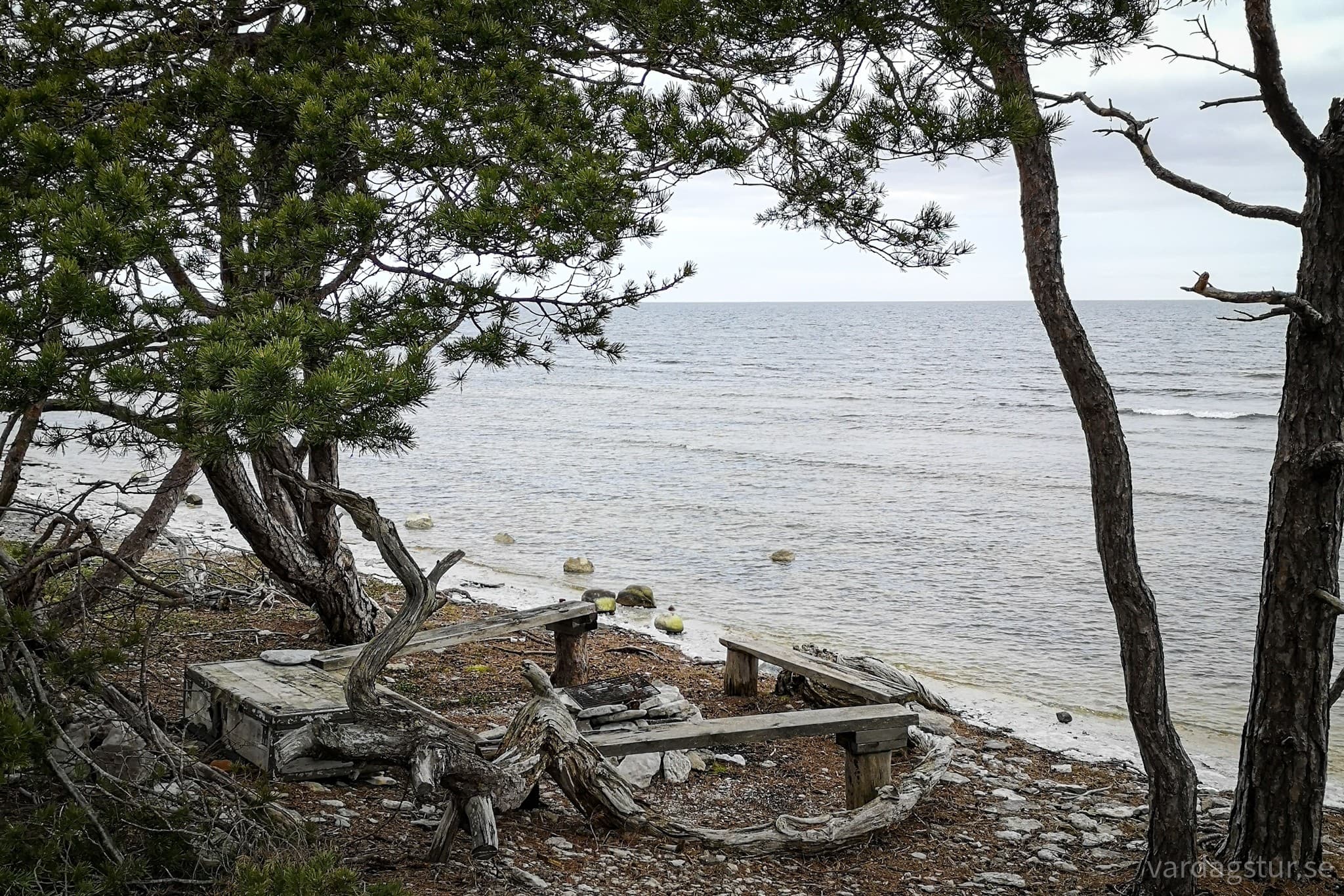 wp-1681488126864837714517796859529