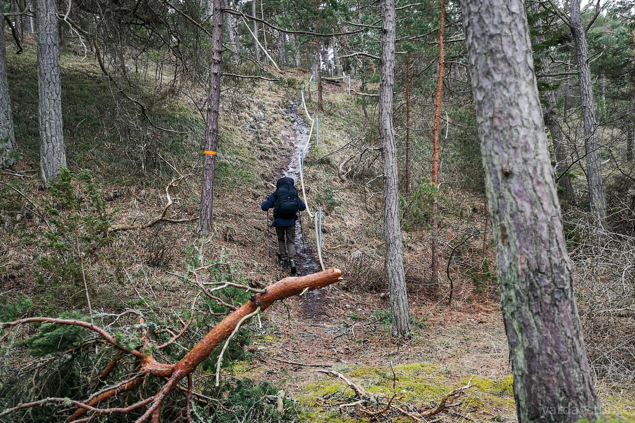 wp-16815451279348655161449072884150