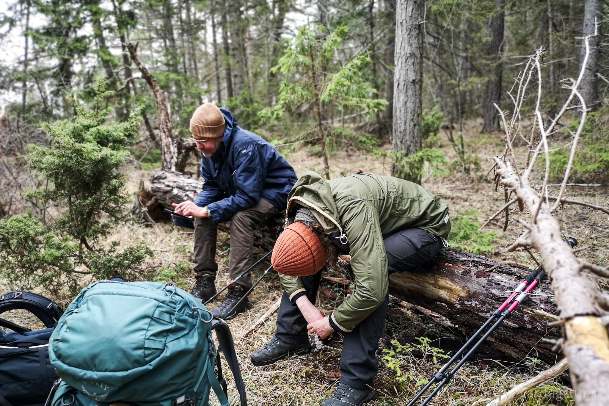 wp-16815635921025582981801429027092