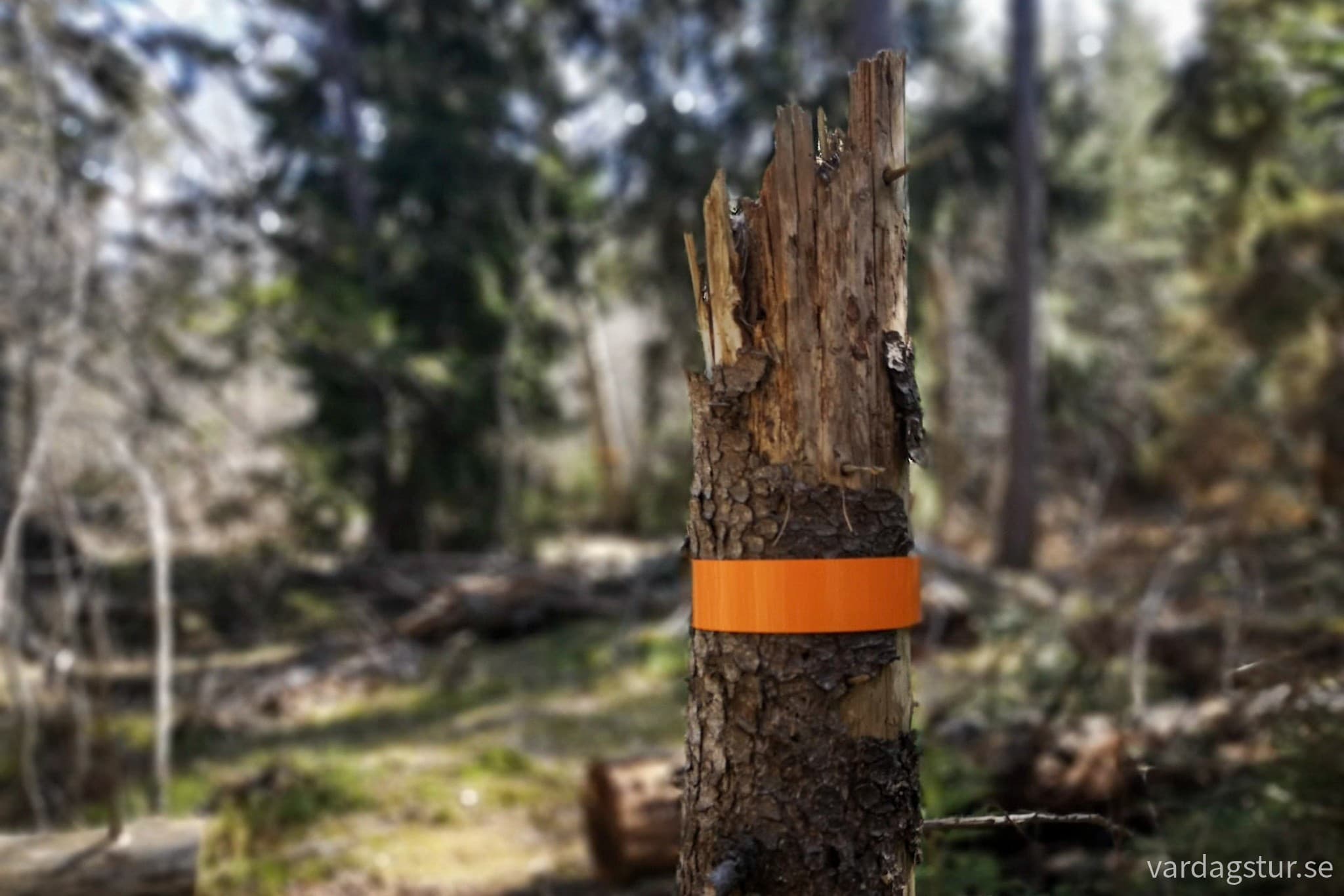 wp-16833481511059114524191754471780