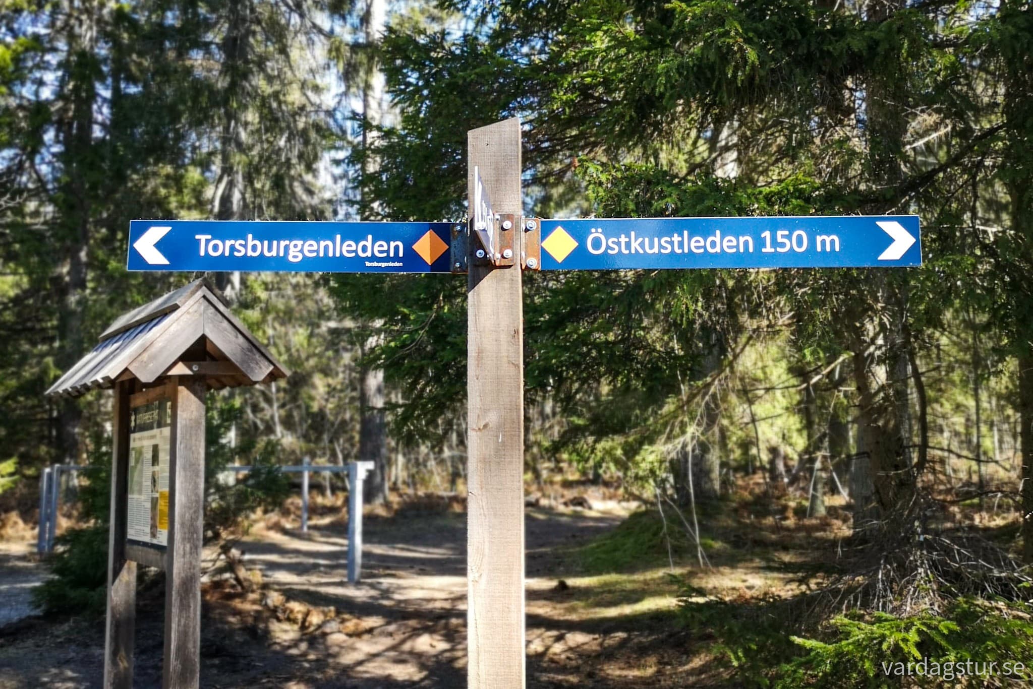 wp-16833528713986182844298716783474