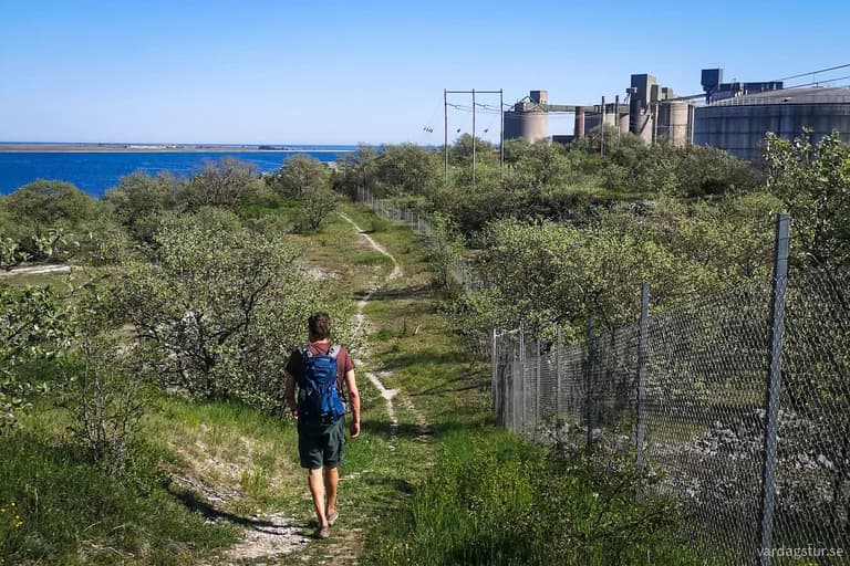 wp-1689785958952358500144384130338