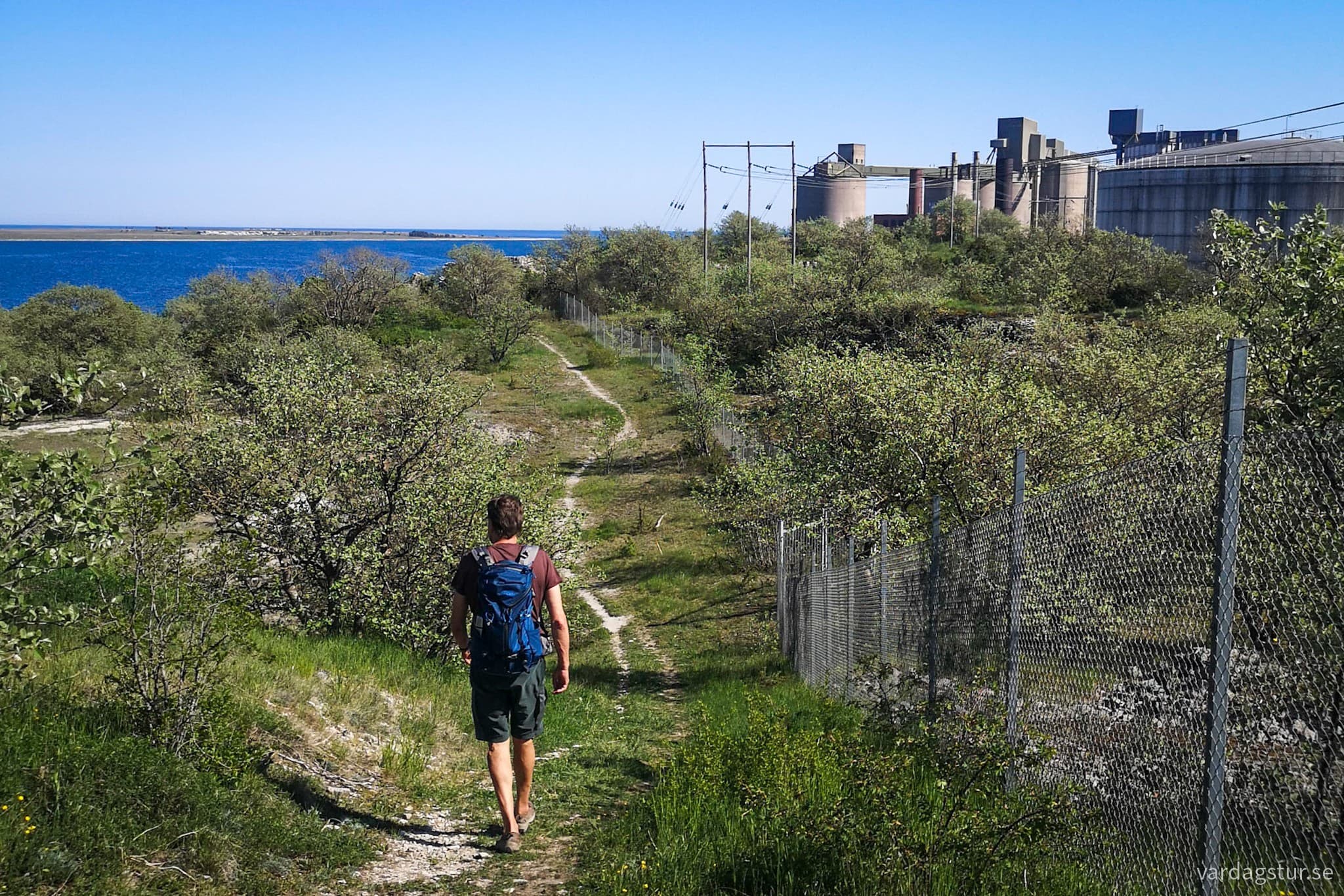 wp-1689785958952358500144384130338