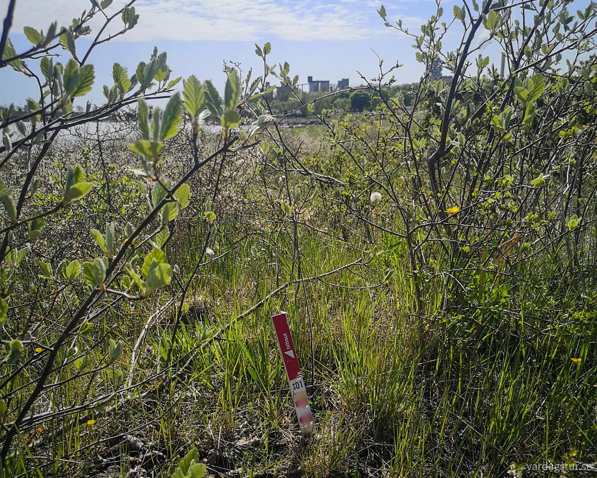 wp-16897872107444873657042241278539