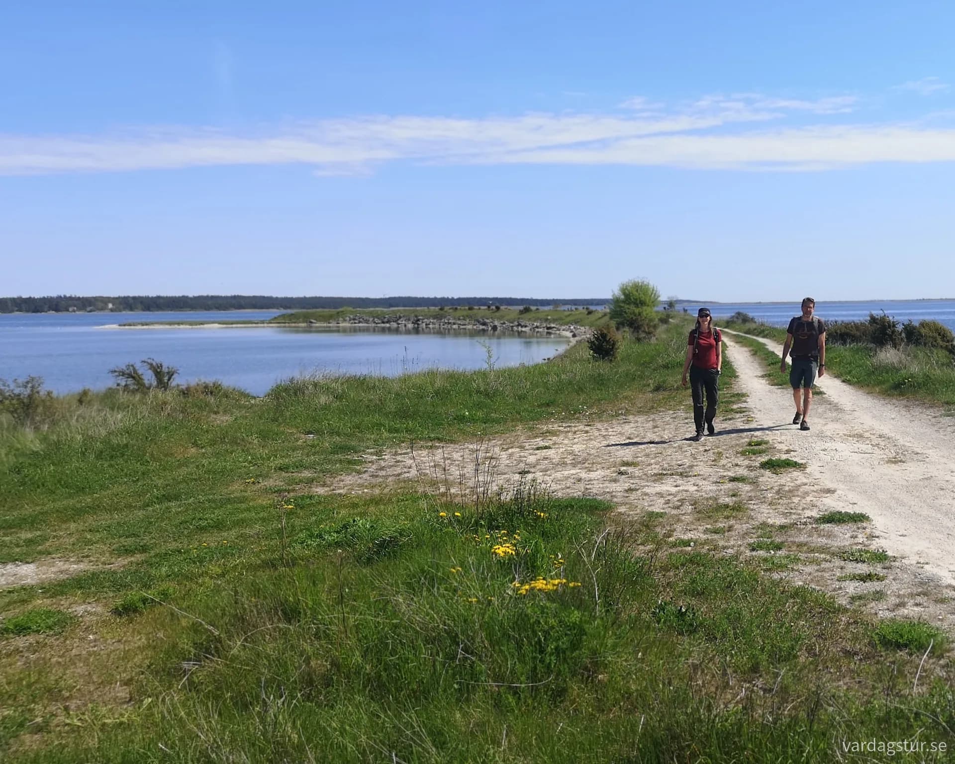 wp-16897896762523453703690463591317