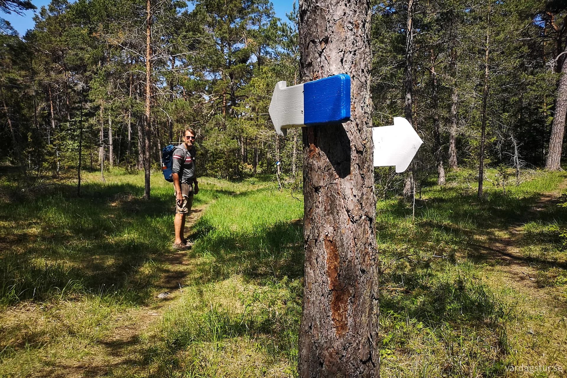 wp-16902209535193529144814891661535