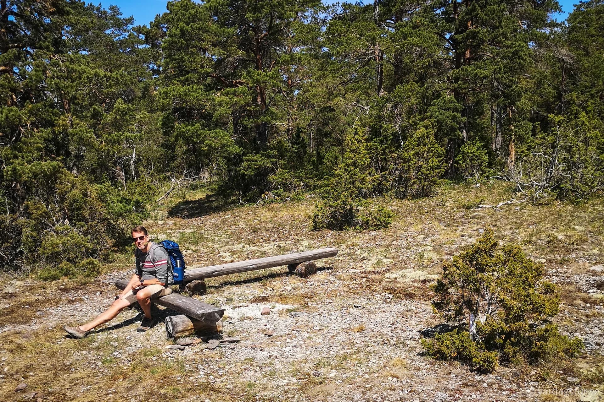 wp-16902211919427589713637290245483