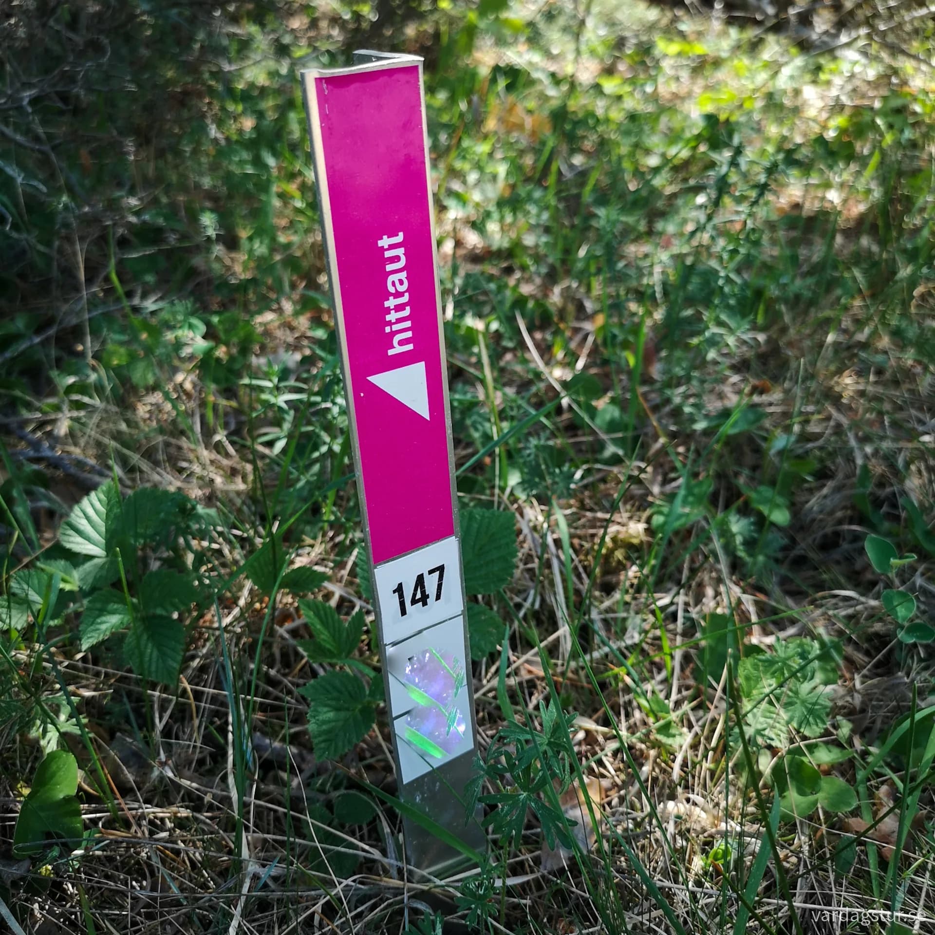 wp-16902221548455261779980678536284