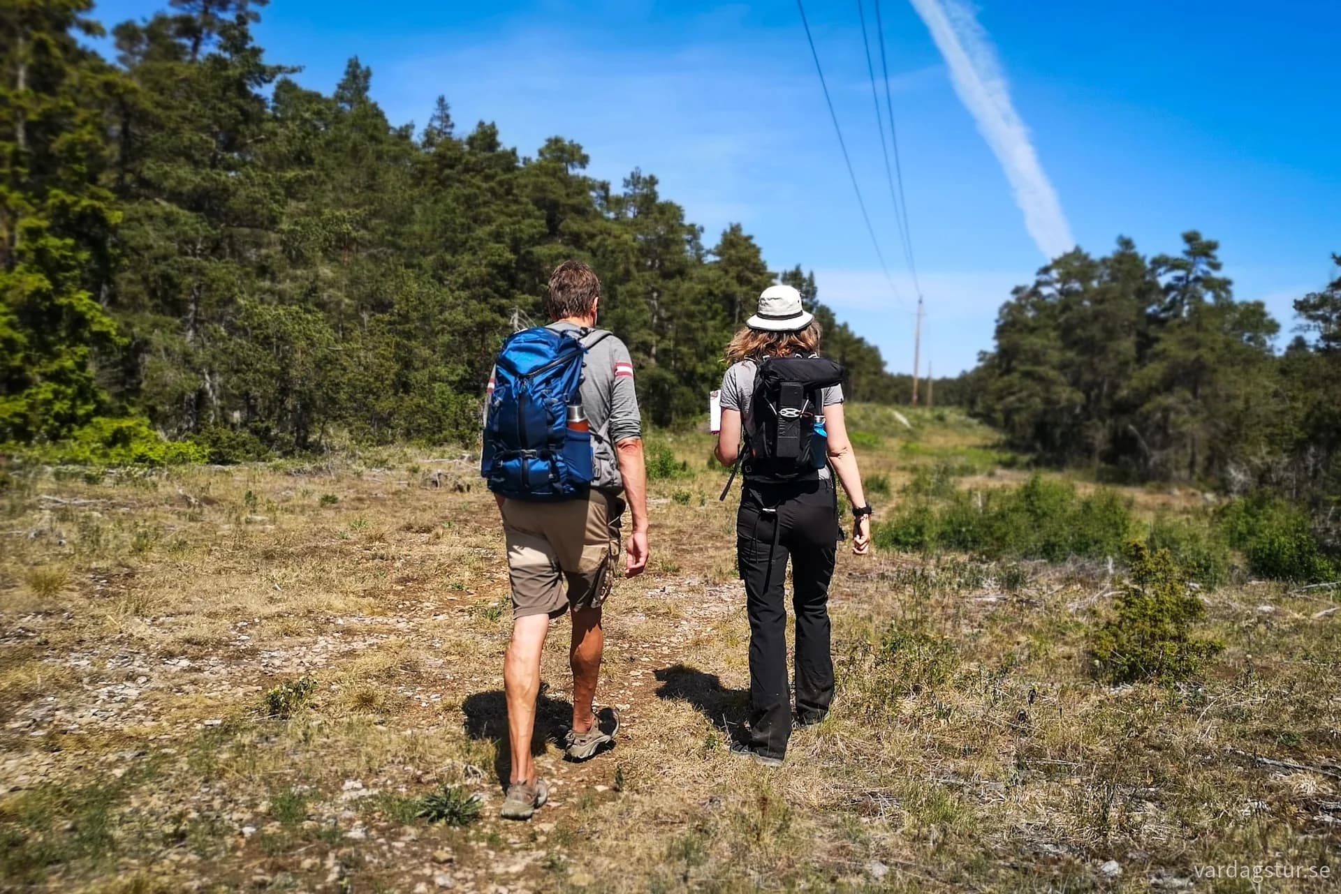 wp-16902230018648259345502029689331