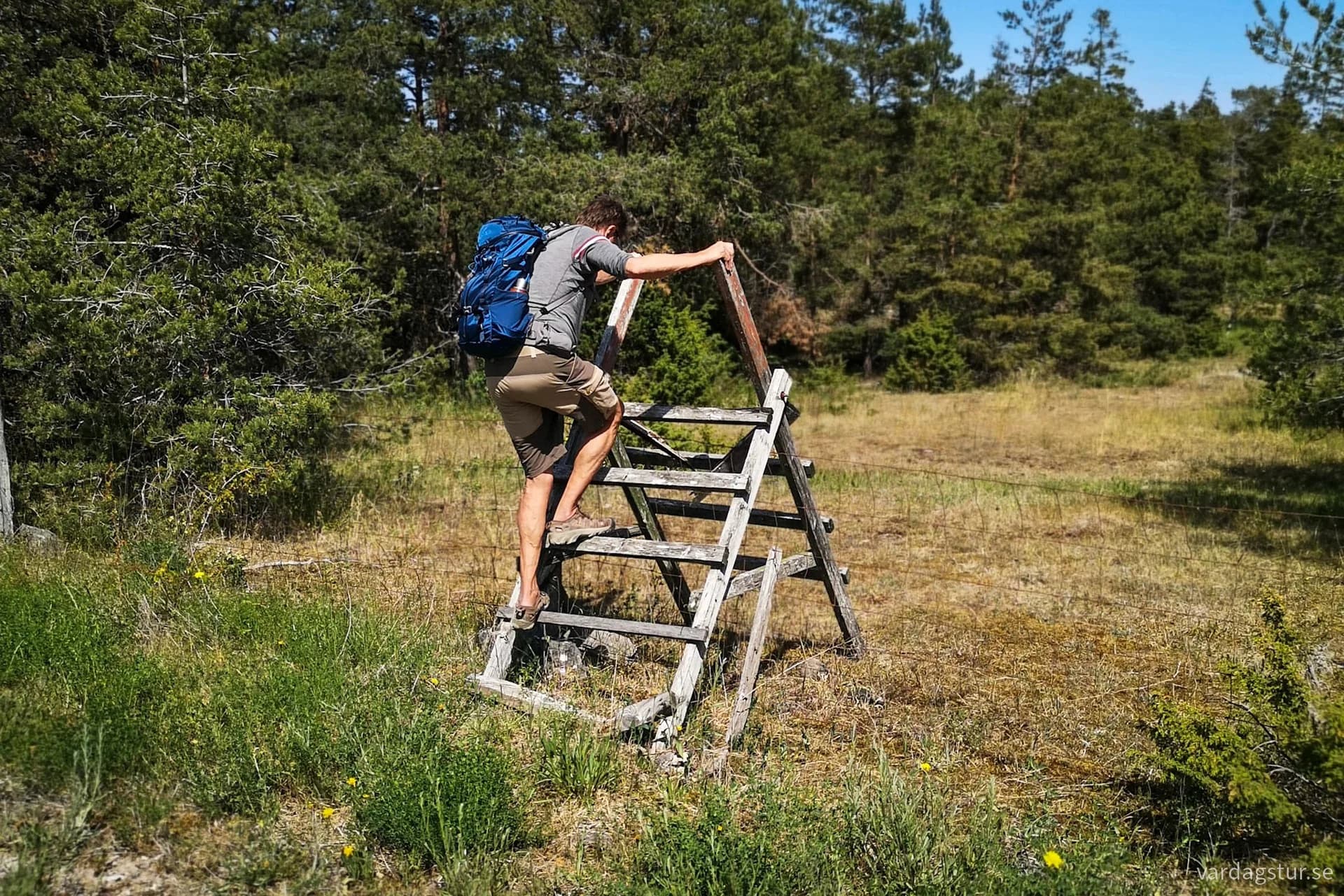 wp-1690223913425542241699176899700