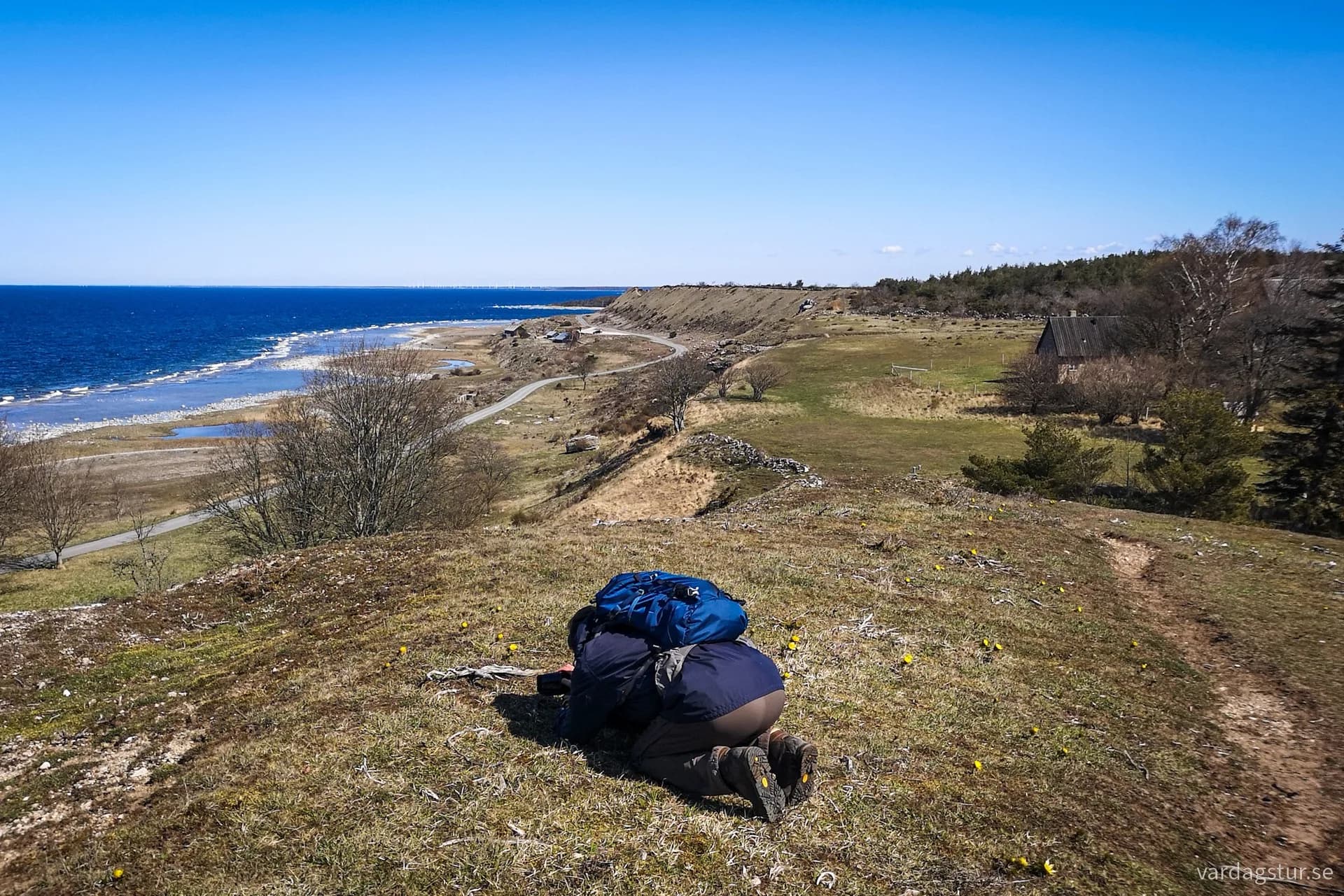 wp-16903848813545748403295557034821