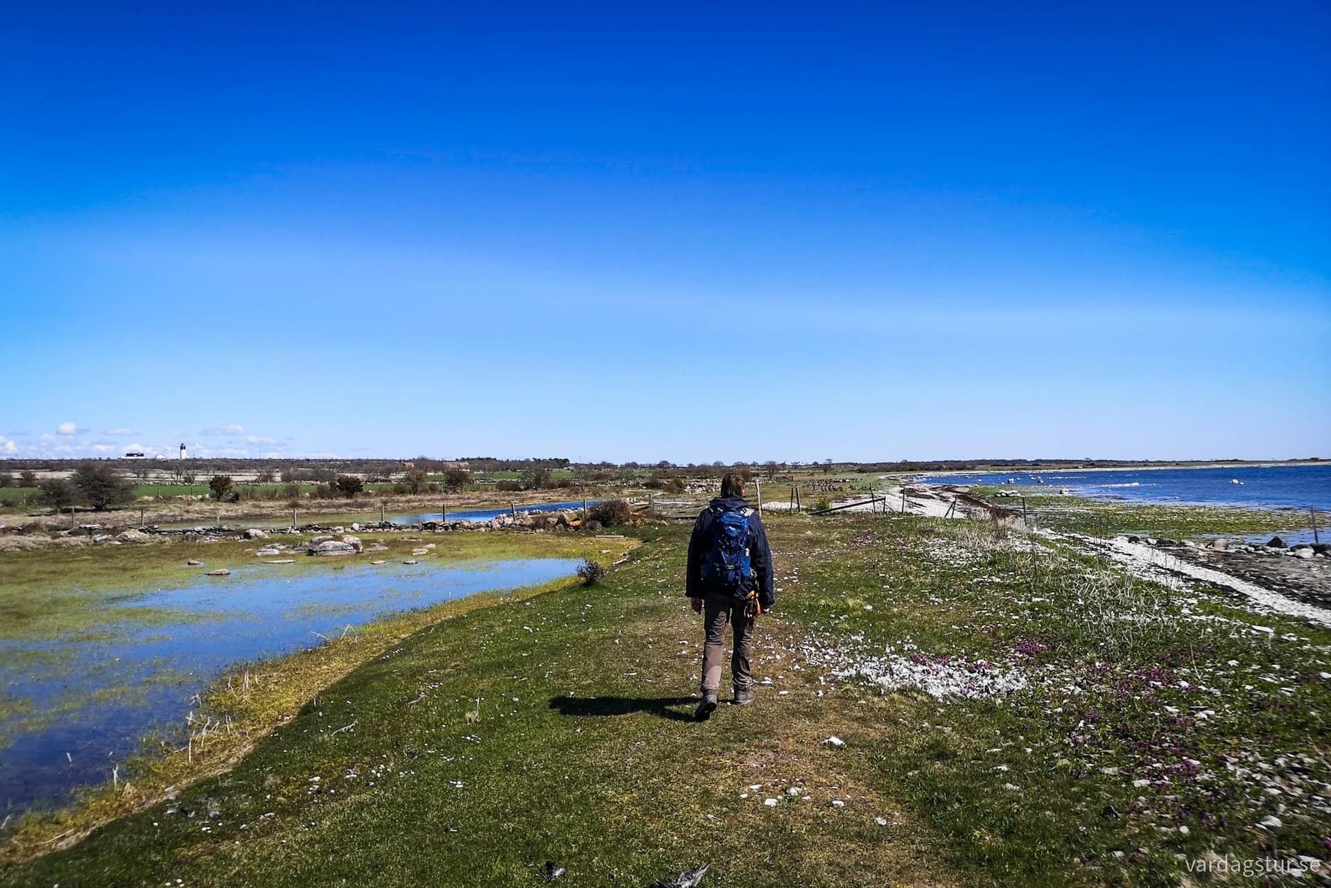 wp-16903873669934543114399816902693