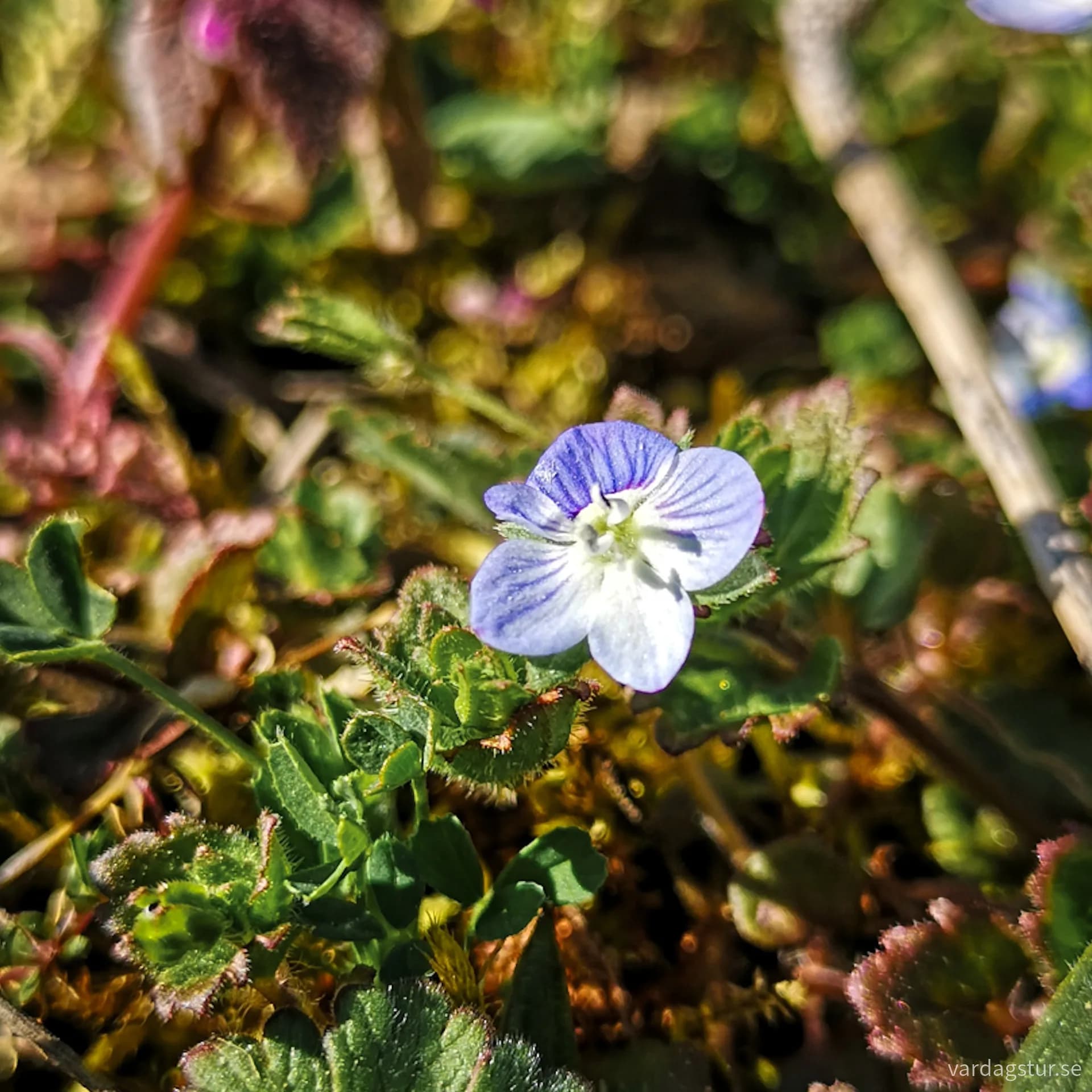 wp-16903896288354417636412165255045