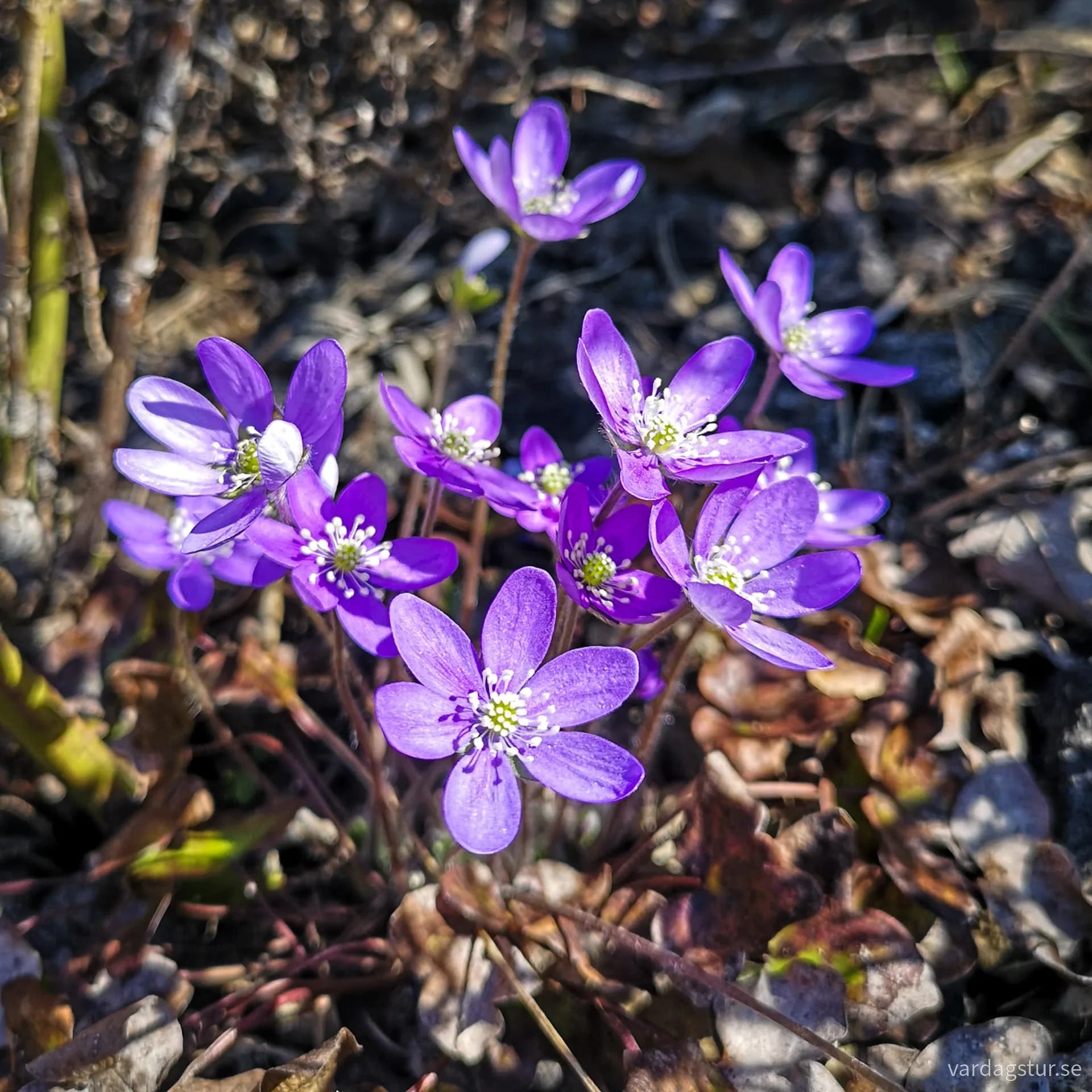 wp-16903896284157547161643707155441