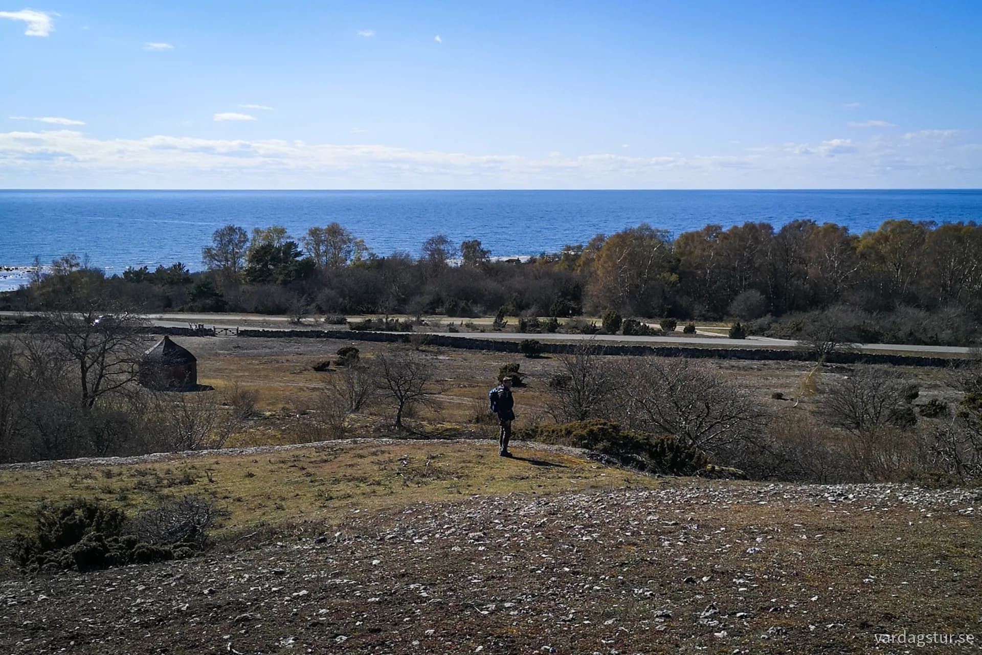 wp-16903911245583829011440983061001