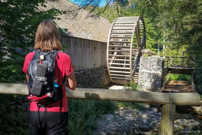 wp-16909082703673415584136281205646