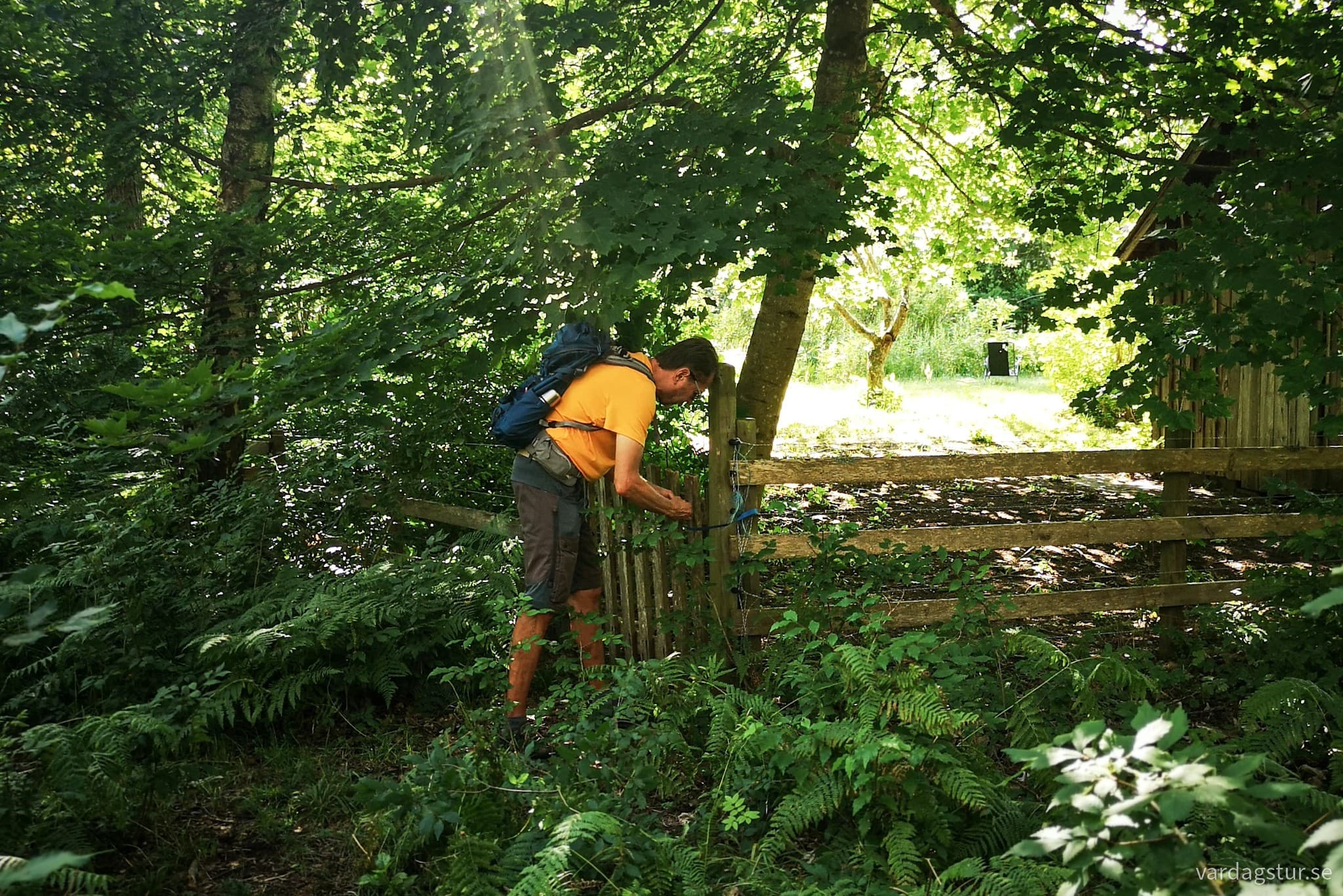 wp-16909083406491078941649585412333