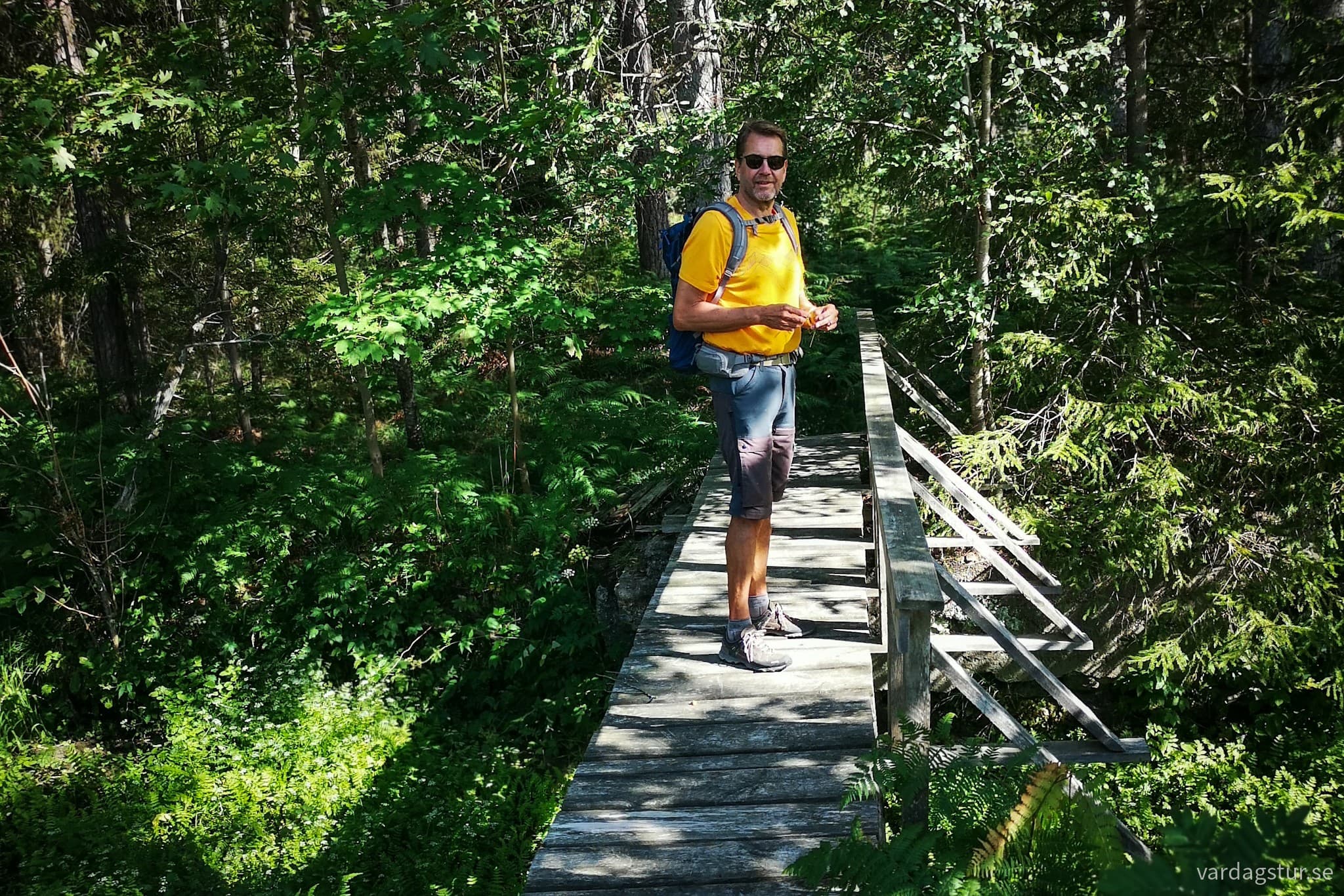 wp-16909084457857929776258083923637