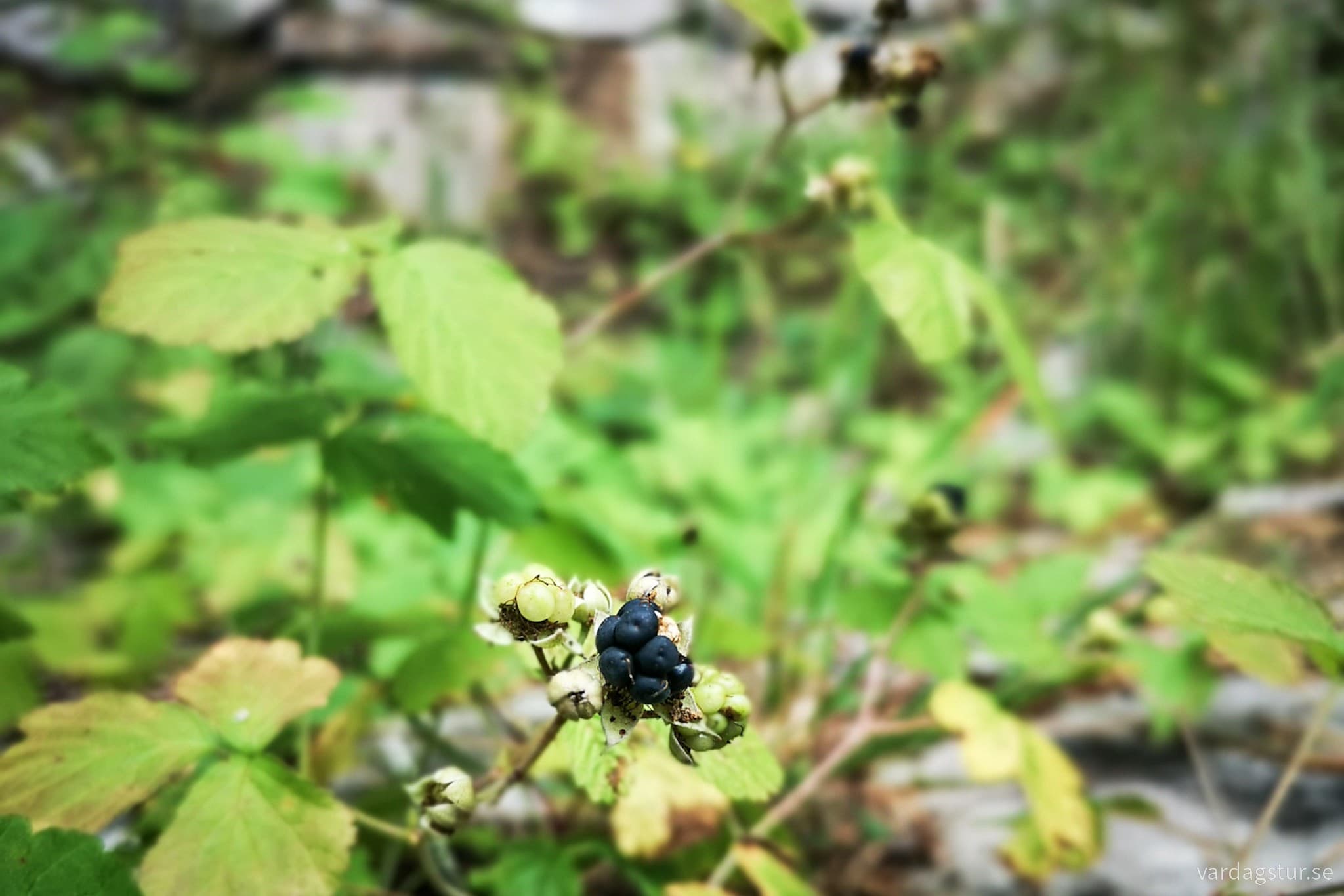 wp-16911621421593939643060680379290