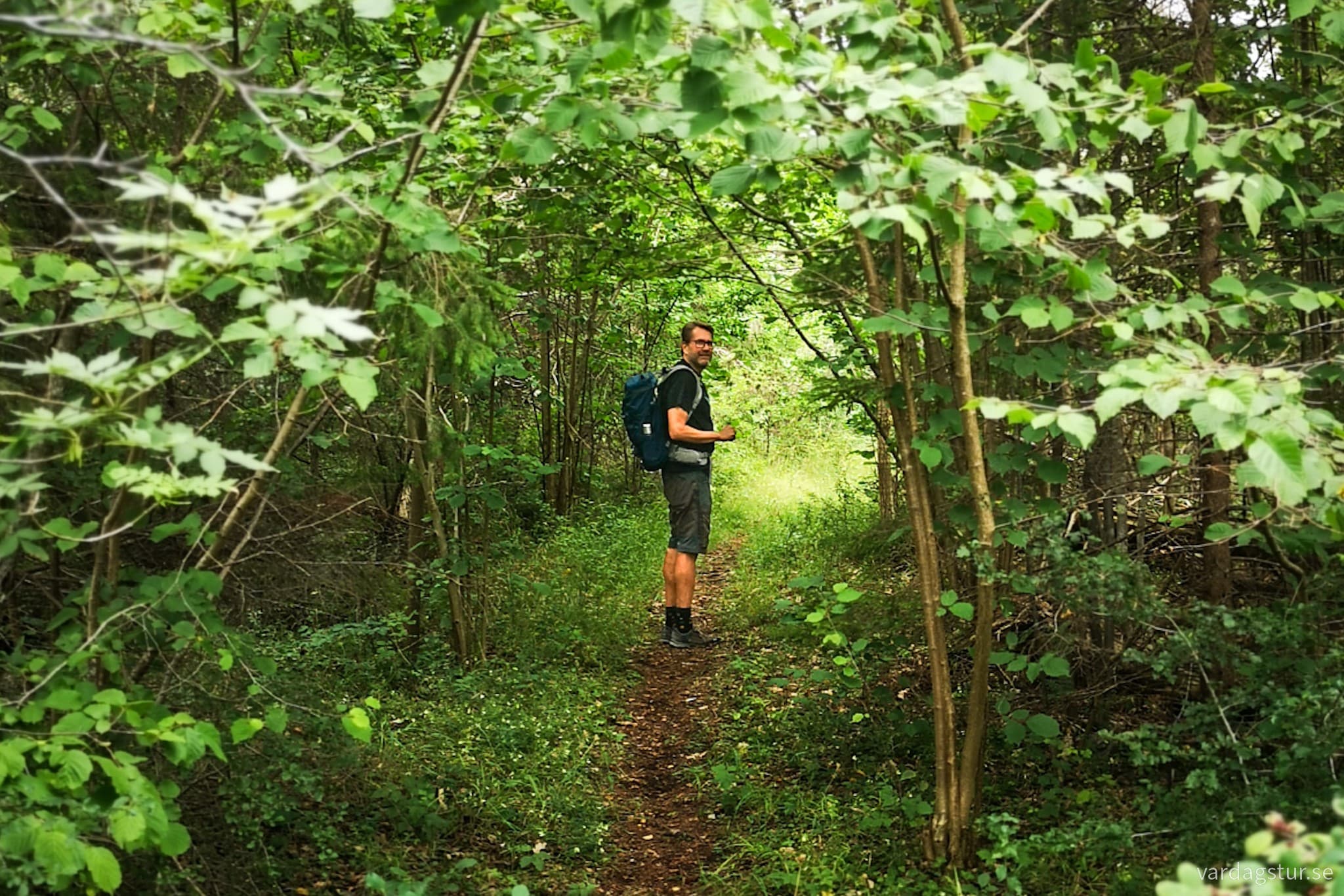 wp-16911621419031835590119143456772