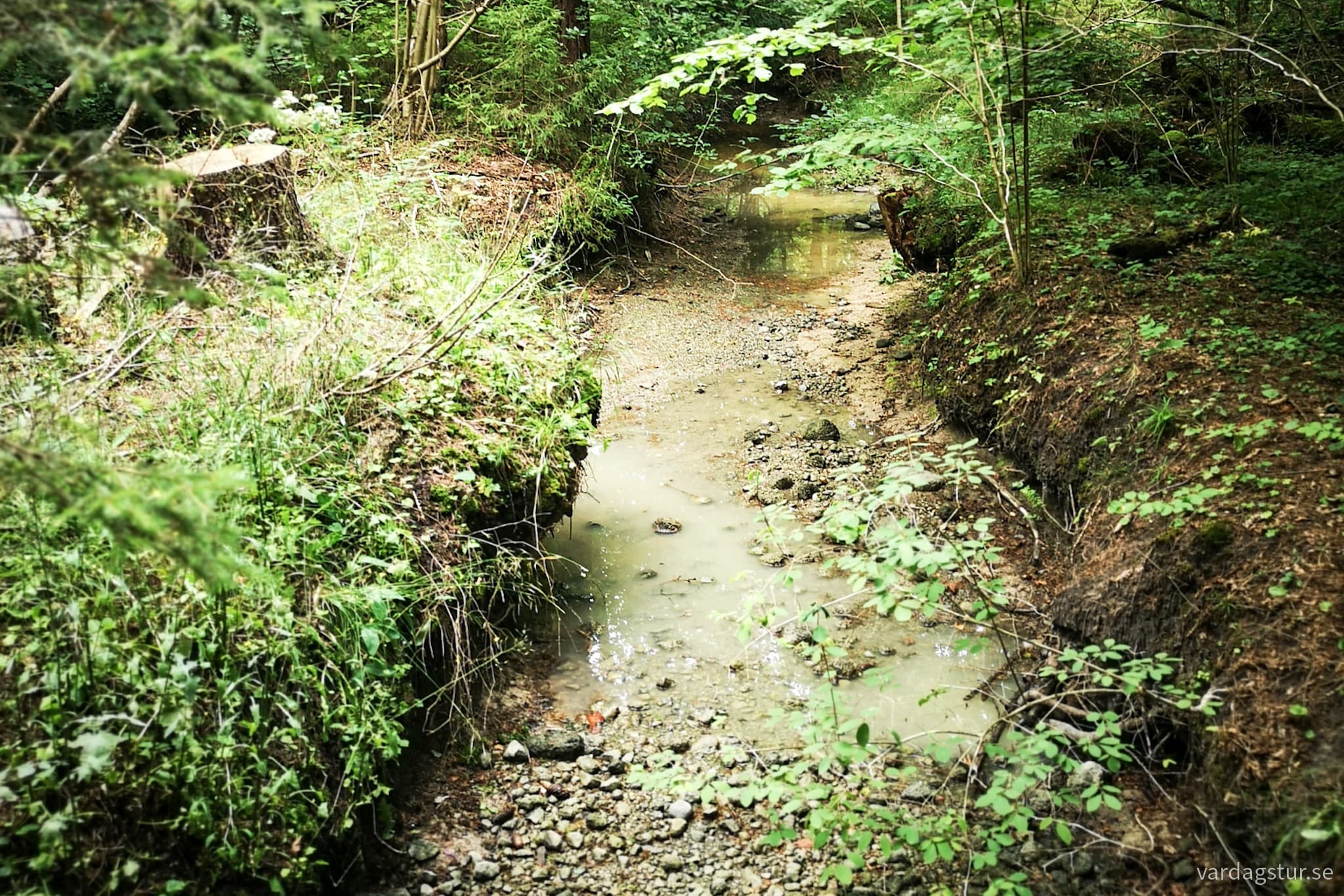 wp-16911621416144412787329742395591