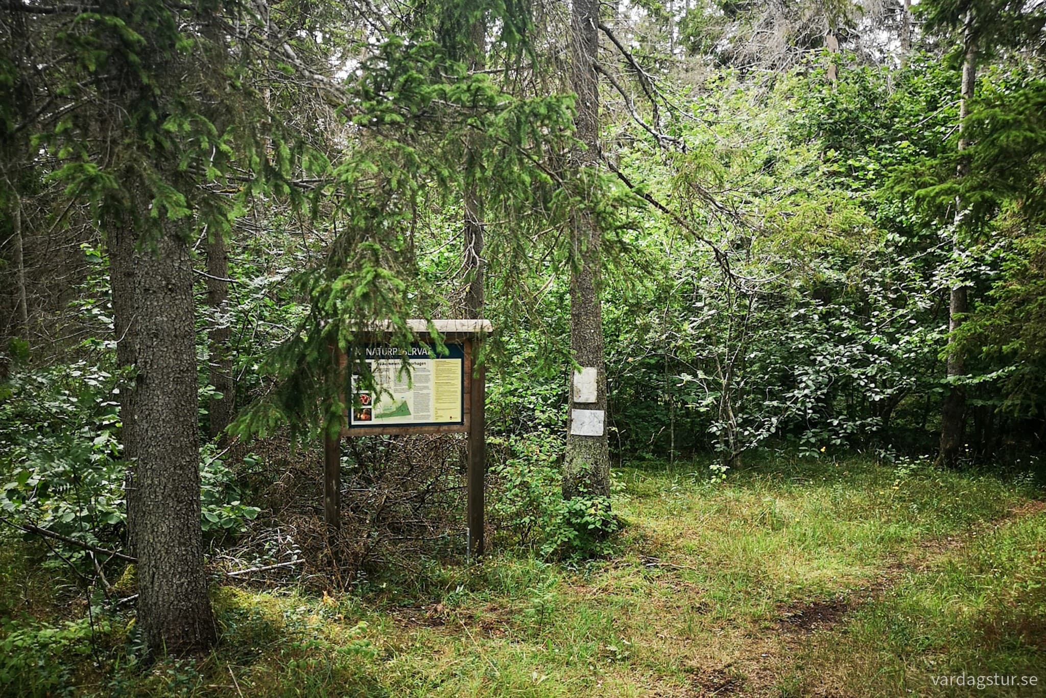 wp-16911621413066629721830223159931