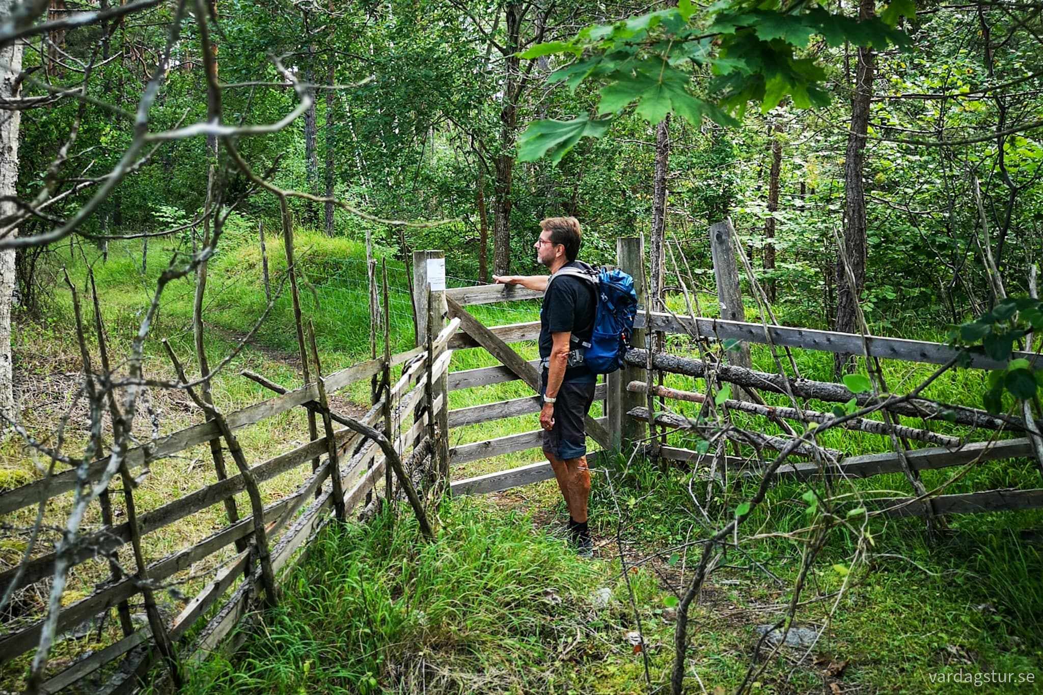 wp-16913020155956379702423384937987