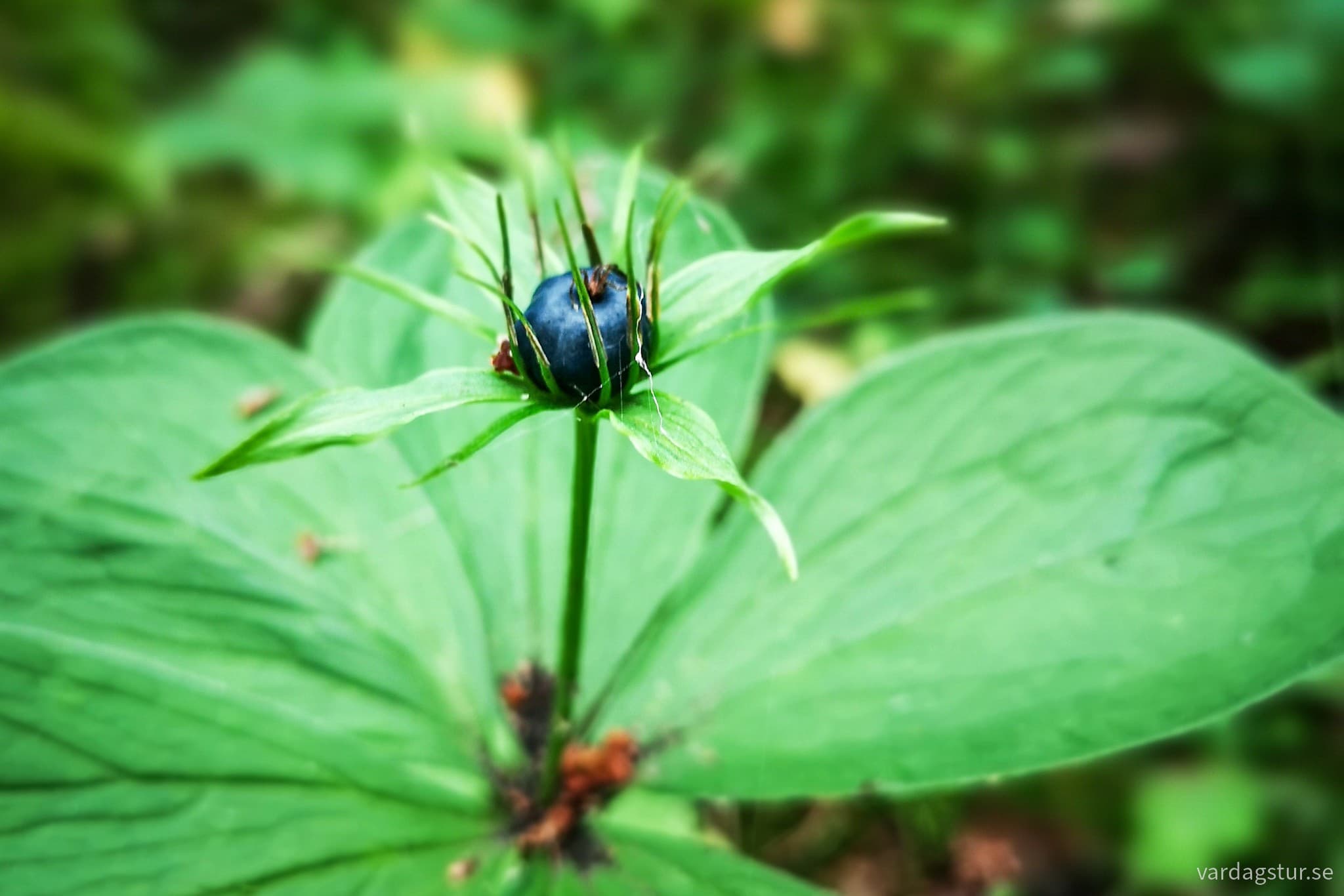 wp-16913021601353287694289248897885