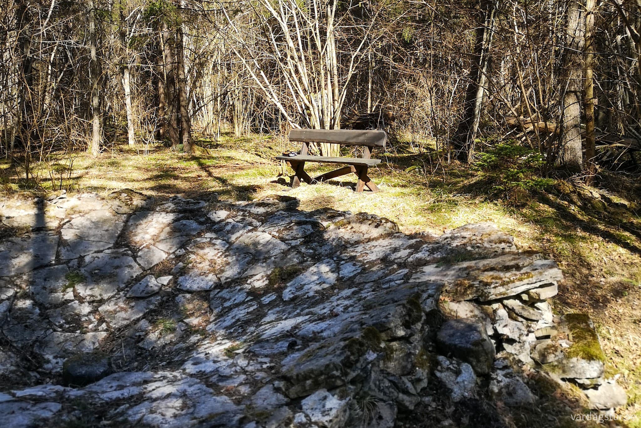 wp-16913058219012242583762238015209