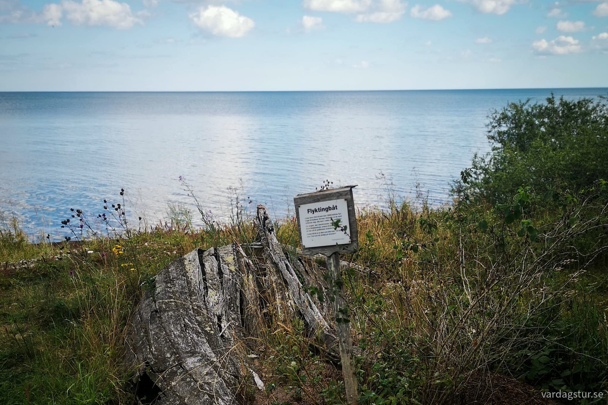 wp-16913393294609134444165671533665