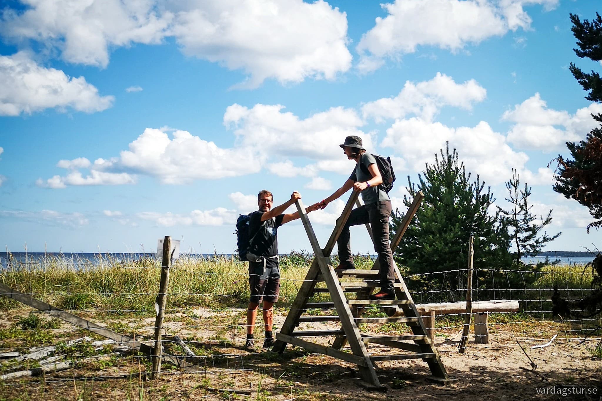 wp-16913412215366526191726593109070