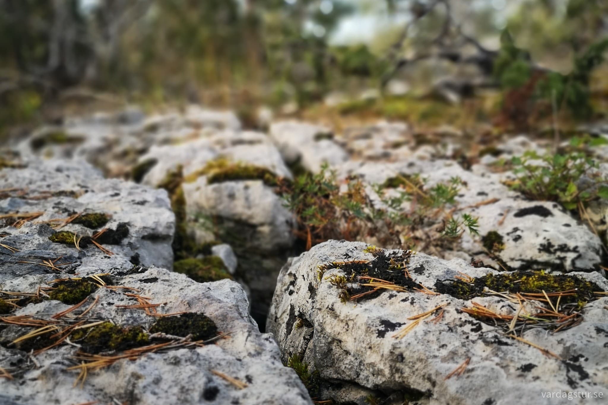 wp-16974786607988902105354569257269